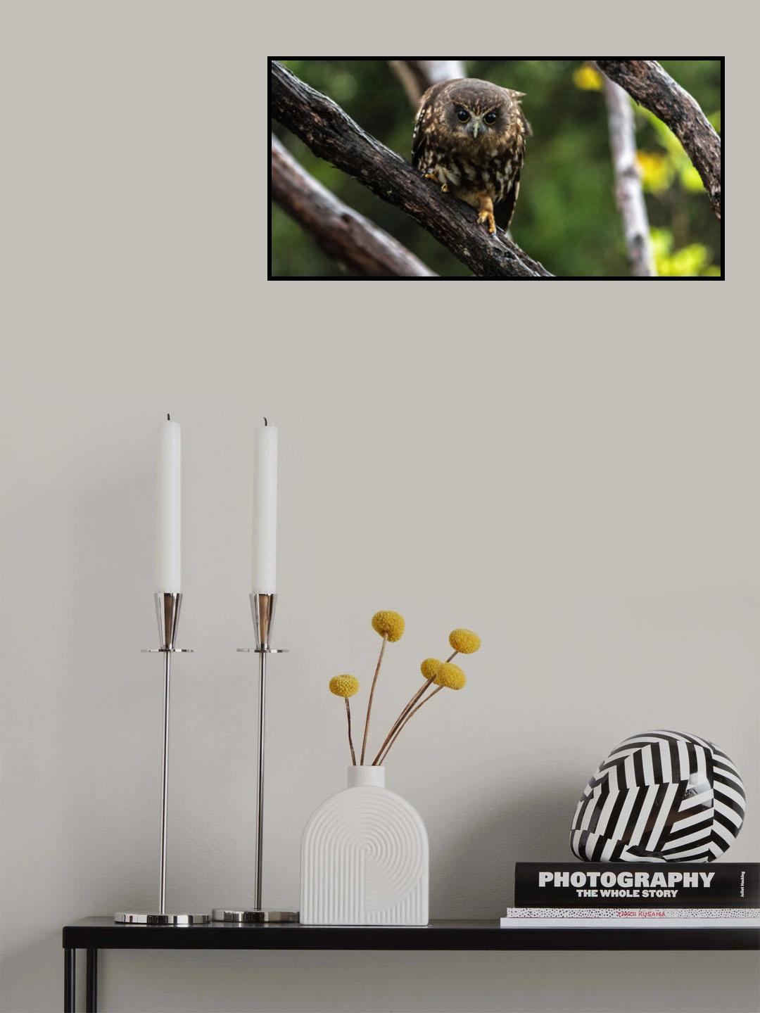 Ruru 10 Poster och Canvastavla
