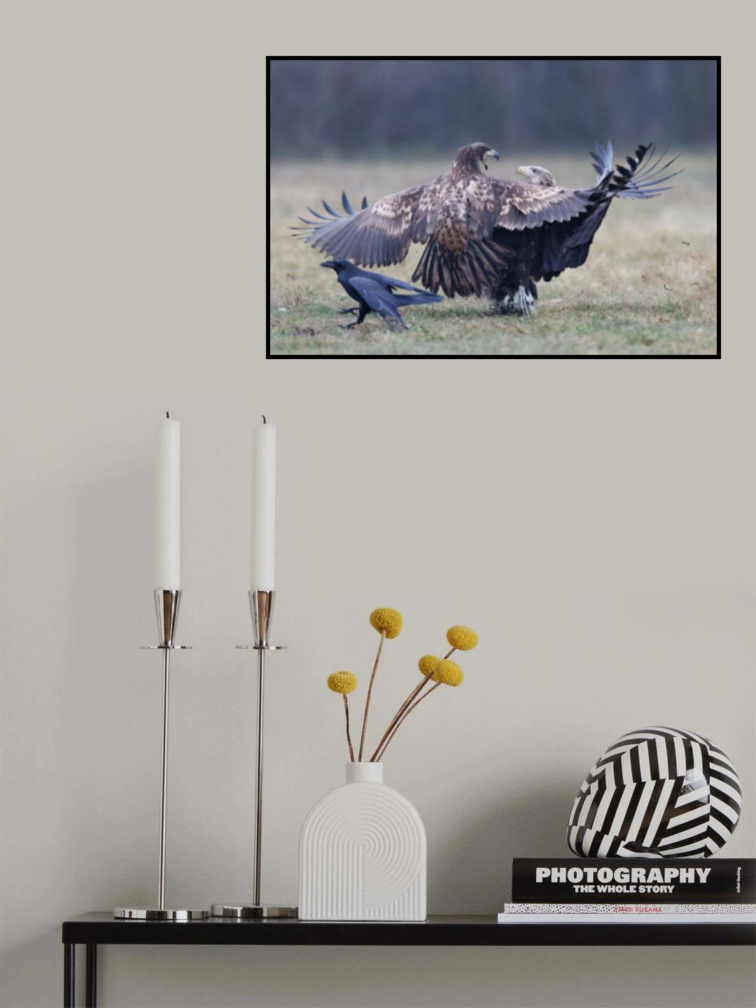 *** Poster och Canvastavla