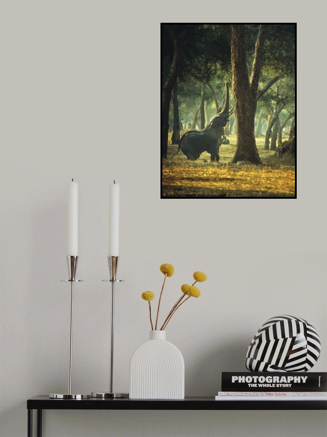 Elephant Yoga Poster och Canvastavla