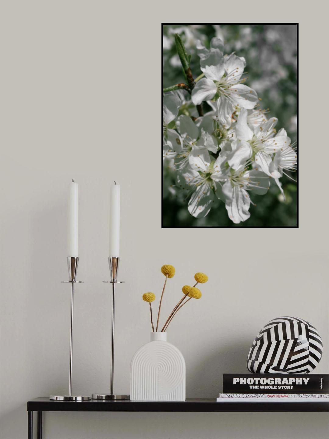 Spring blooms IV Poster och Canvastavla