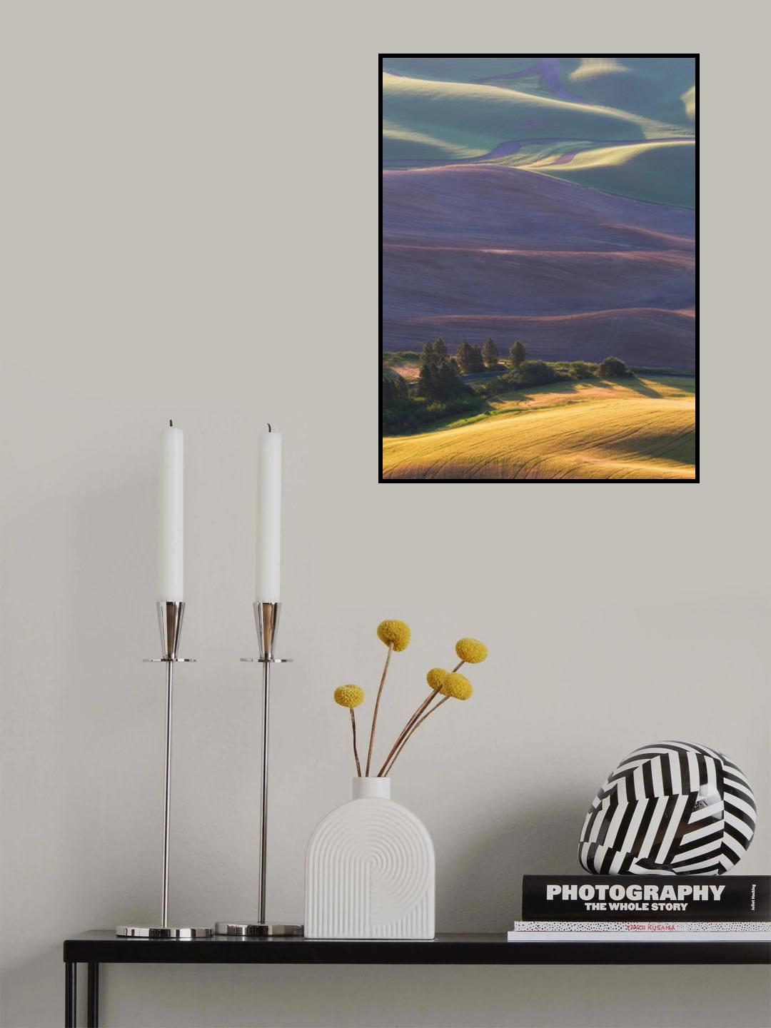 Morning Light Poster och Canvastavla