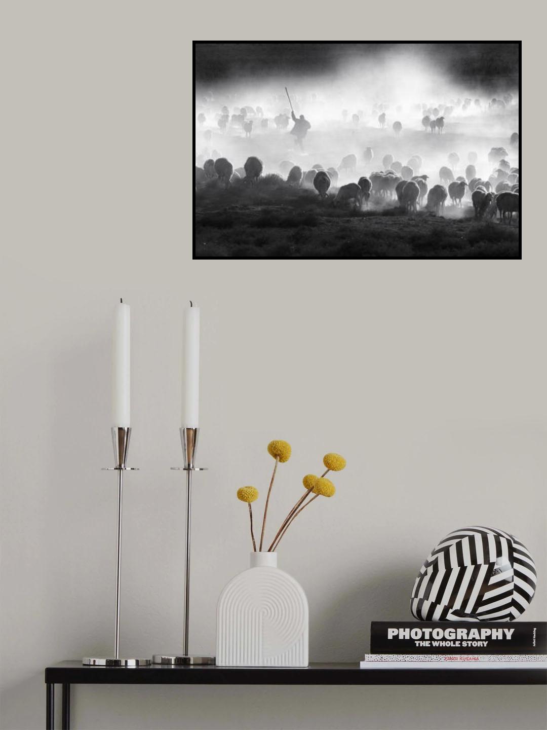 Herd Poster och Canvastavla