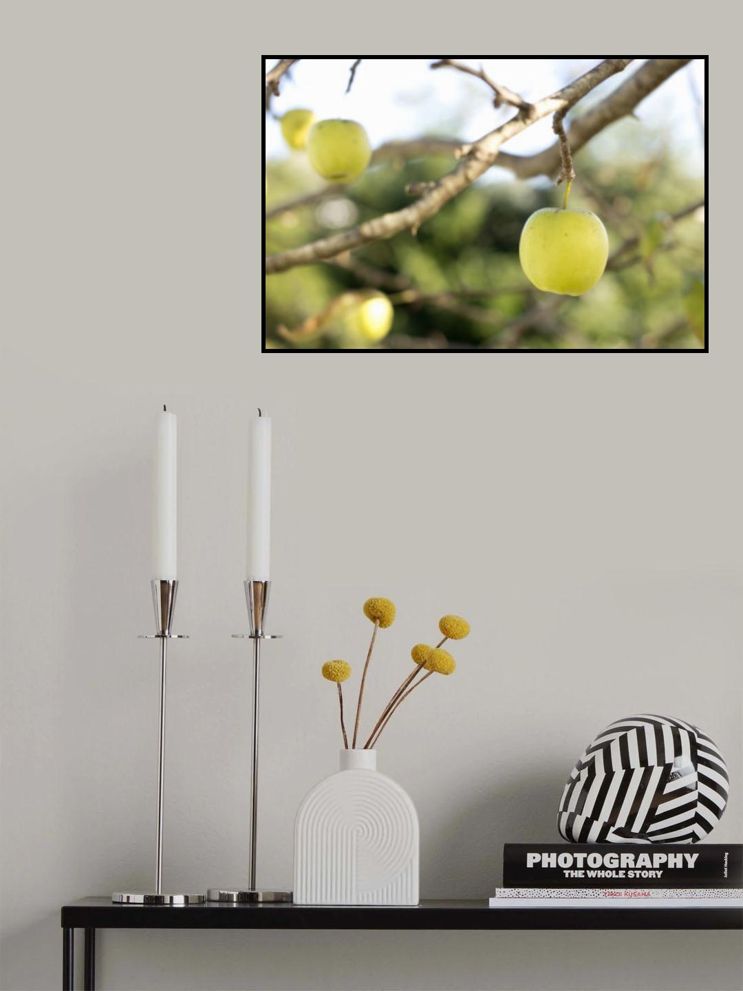 Apples Poster och Canvastavla