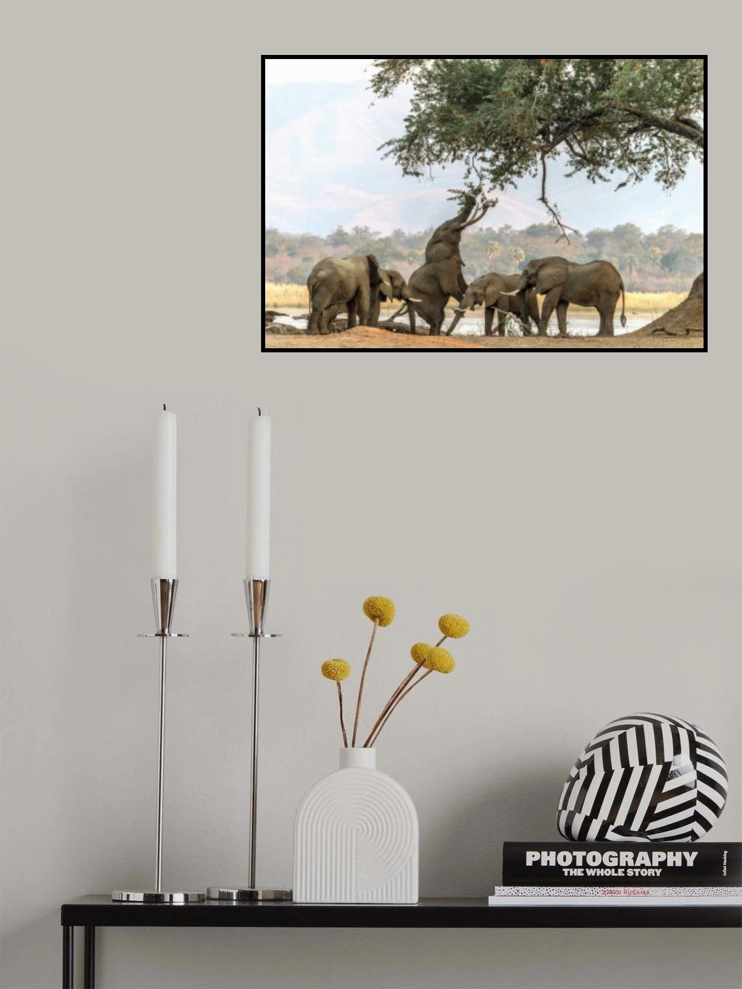 The different Poster och Canvastavla