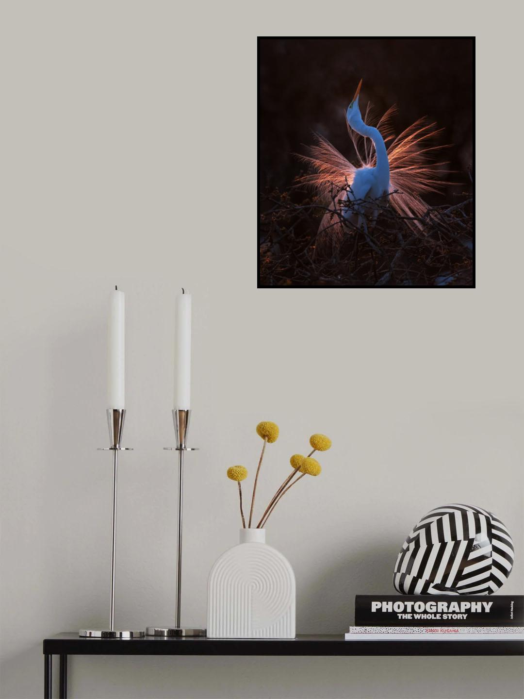 The spring Story (1) Poster och Canvastavla