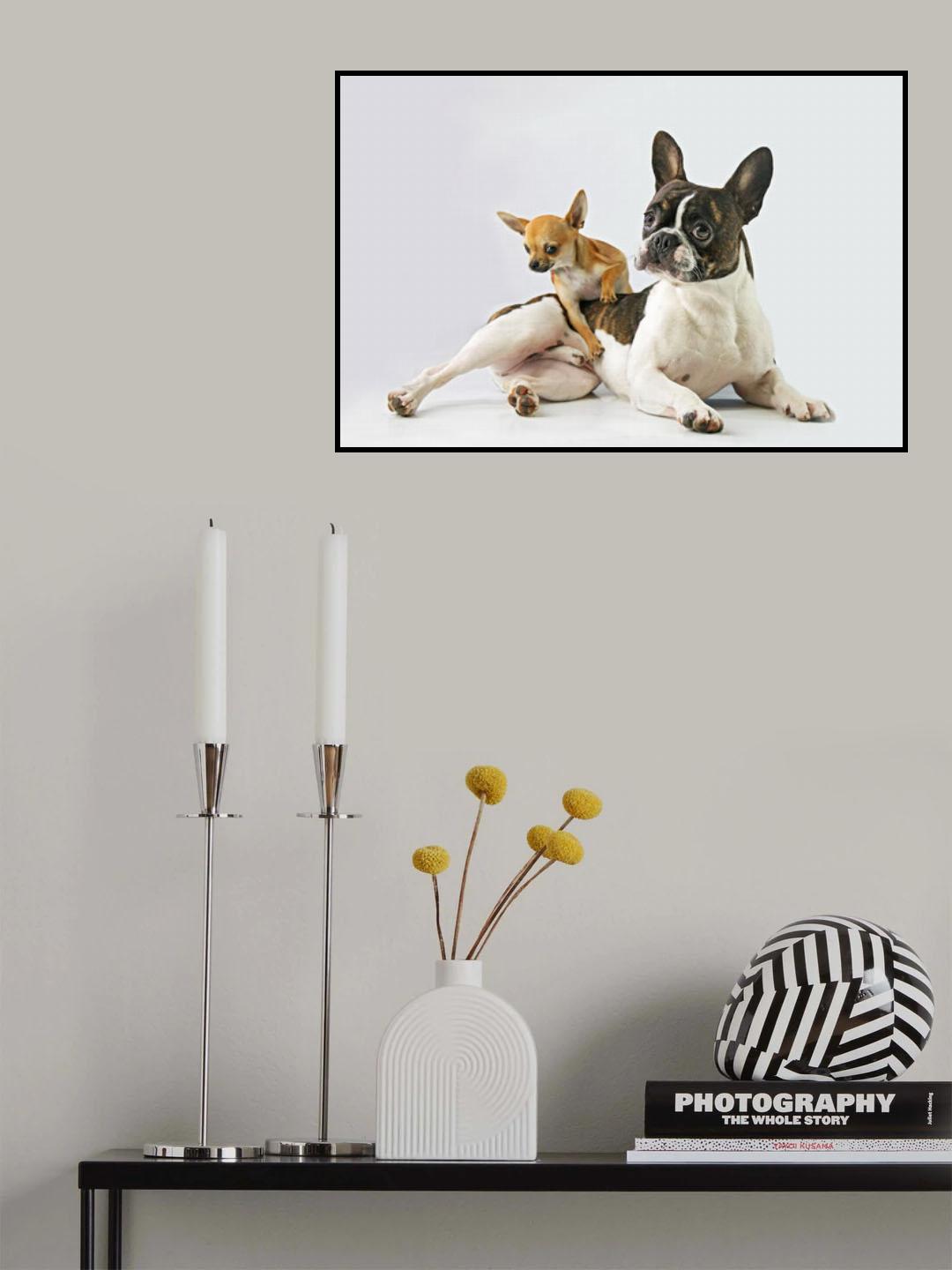 Dali & Alfredo Poster och Canvastavla