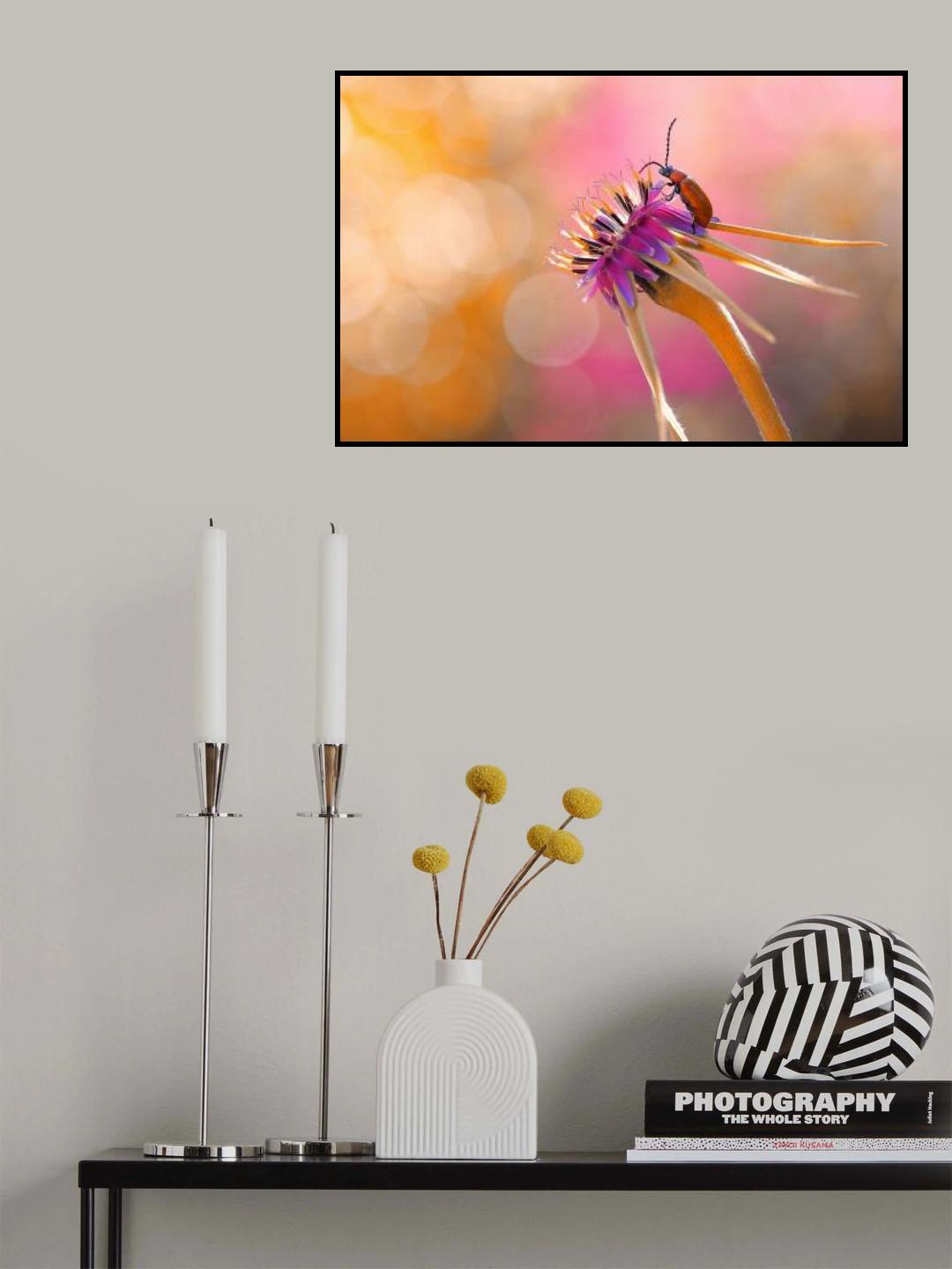 The visitor of colors... Poster och Canvastavla