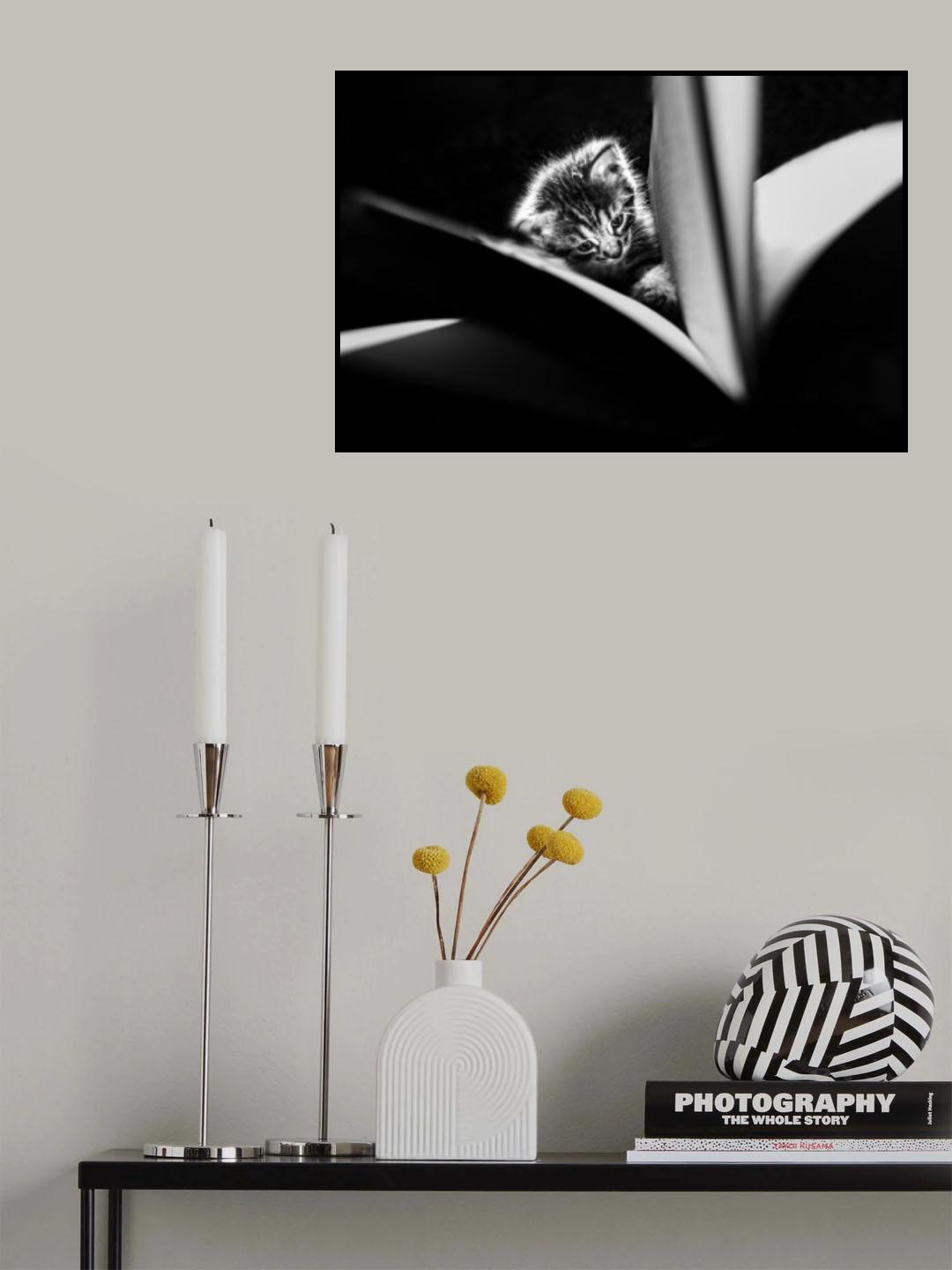 Young reader Poster och Canvastavla