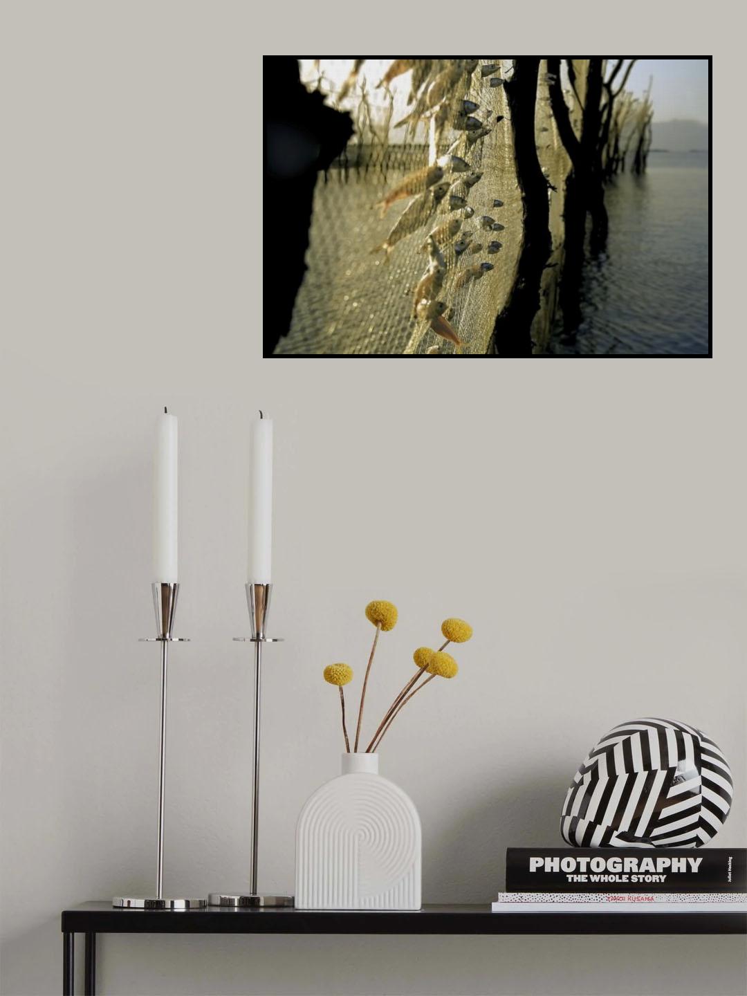 Poster och Canvastavla