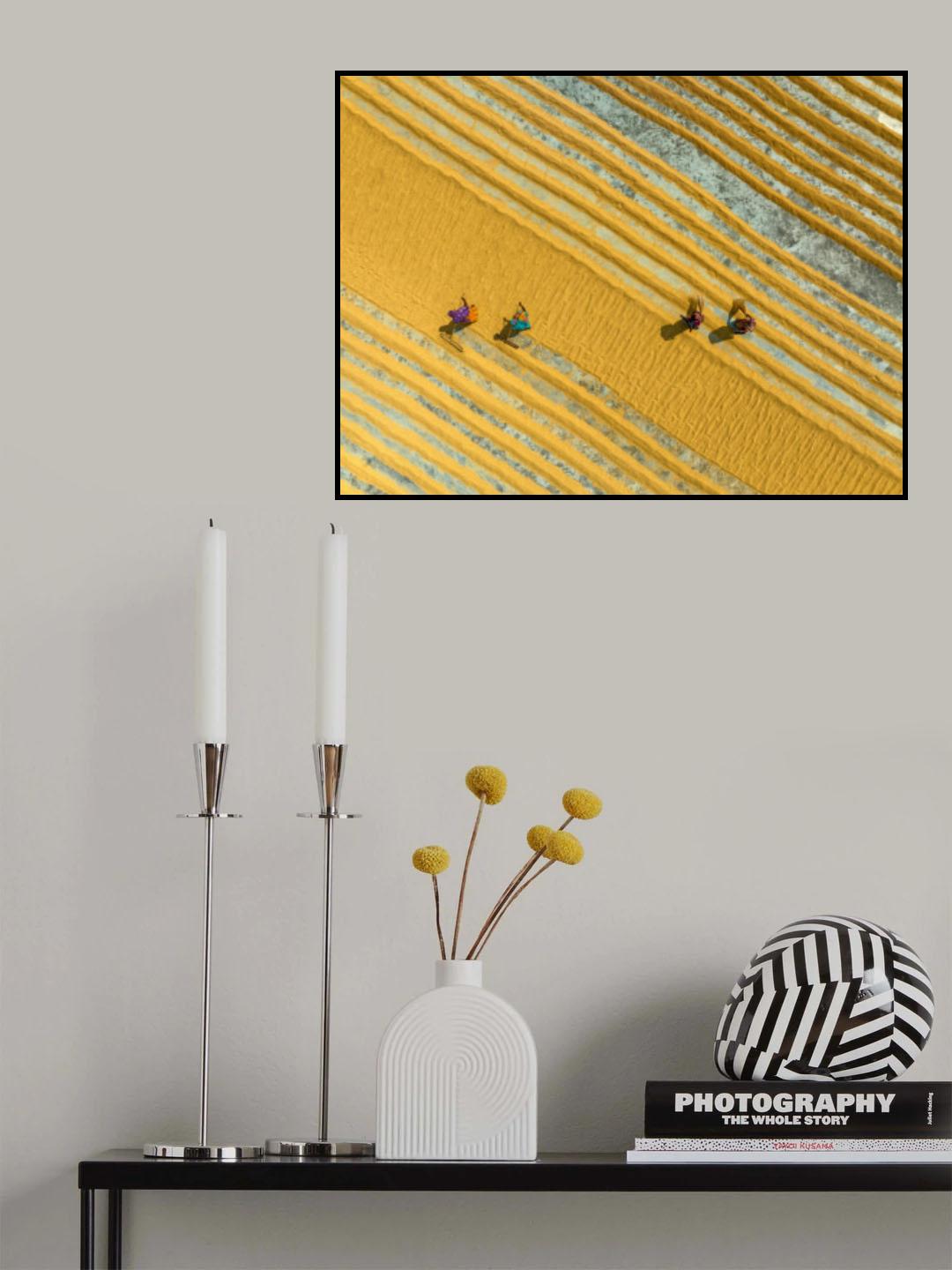 Rice lines Poster och Canvastavla
