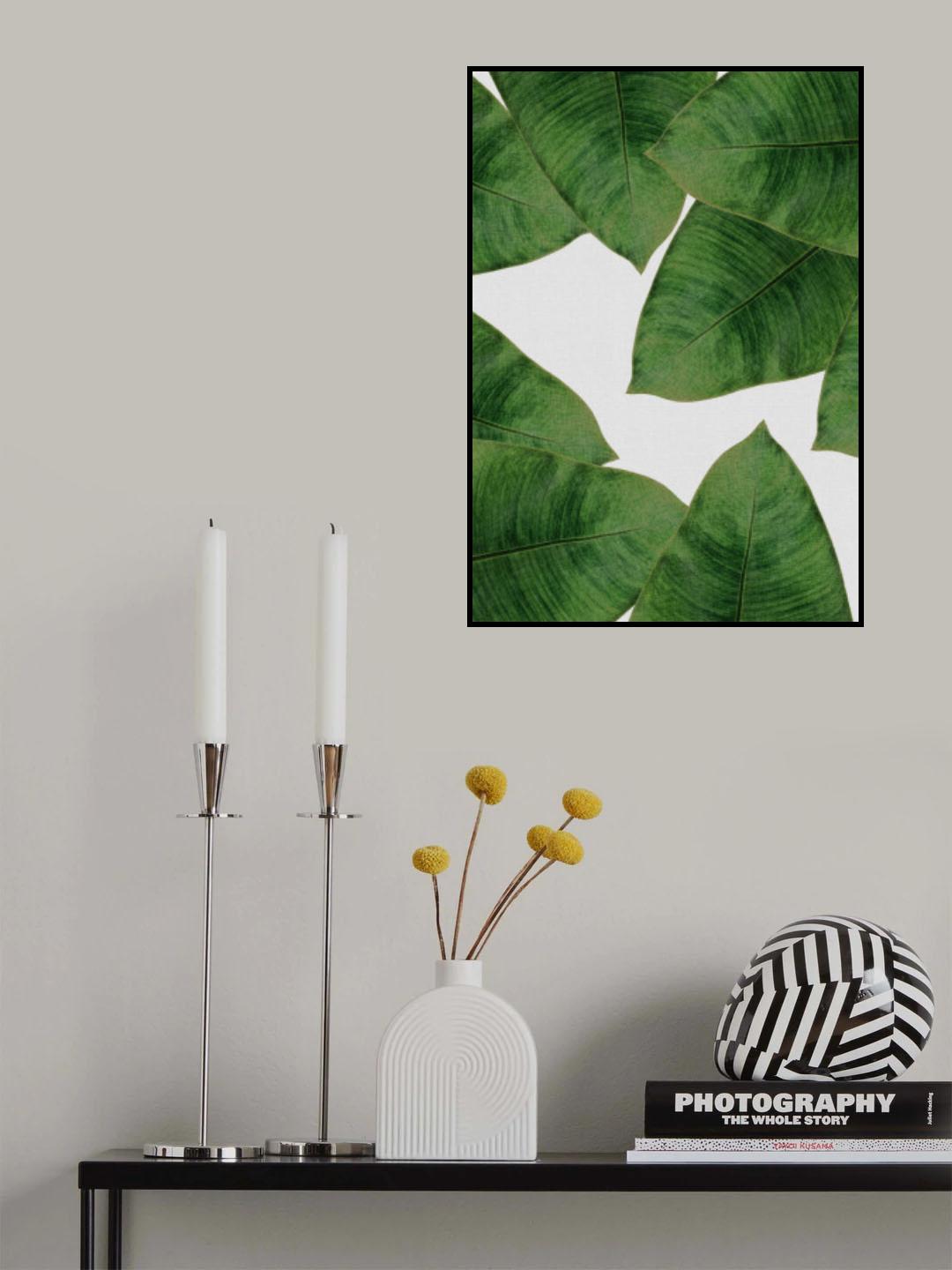 Banana Leaf II Poster och Canvastavla