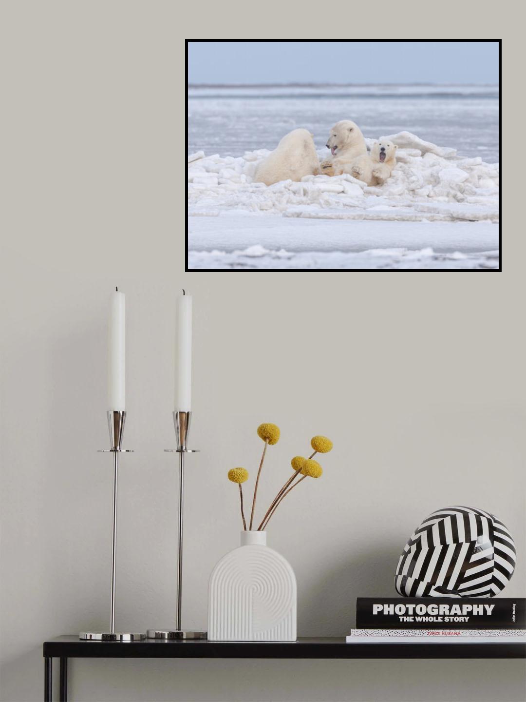 Our ice bed Poster och Canvastavla