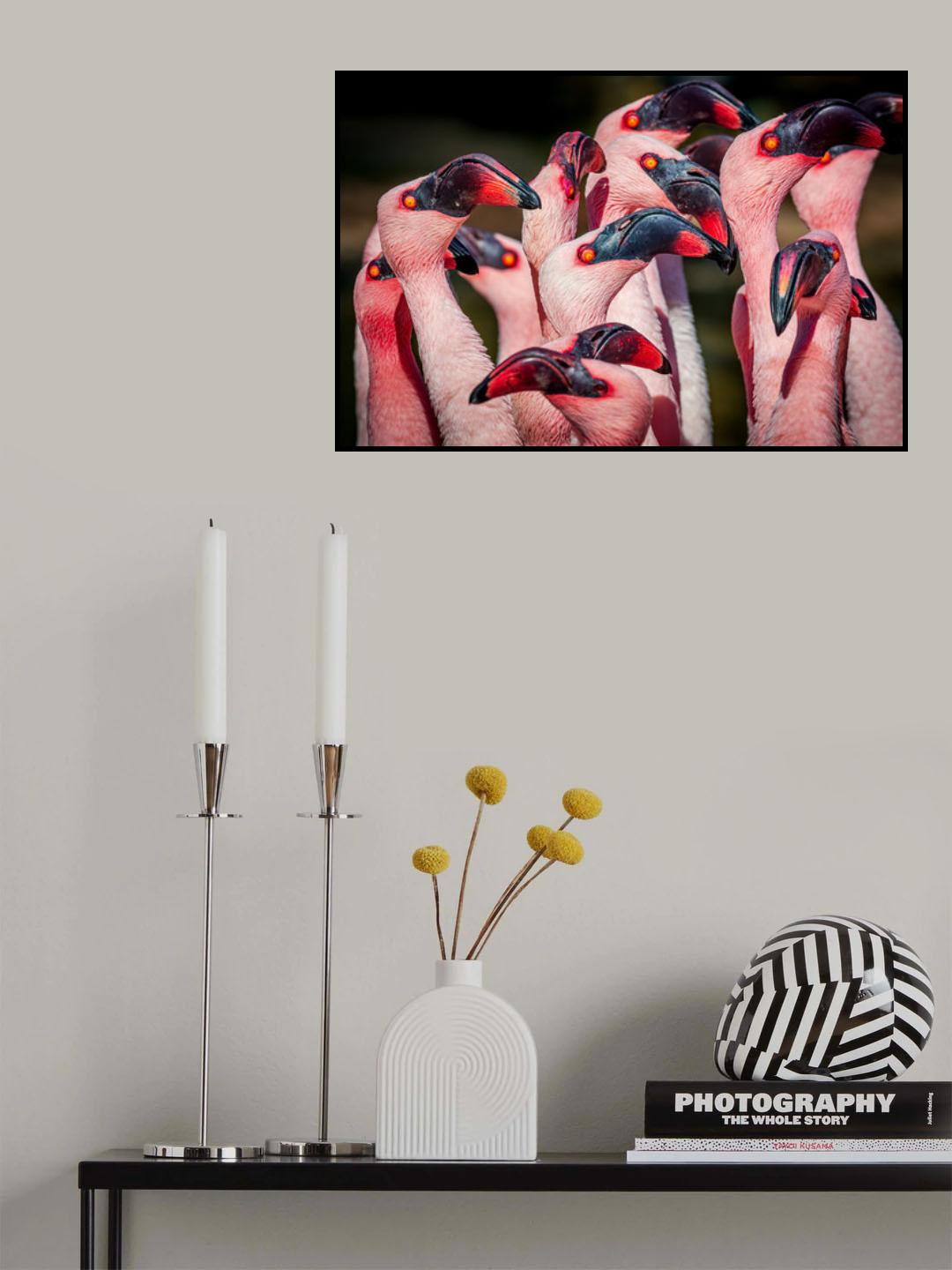 Flamingos Poster och Canvastavla