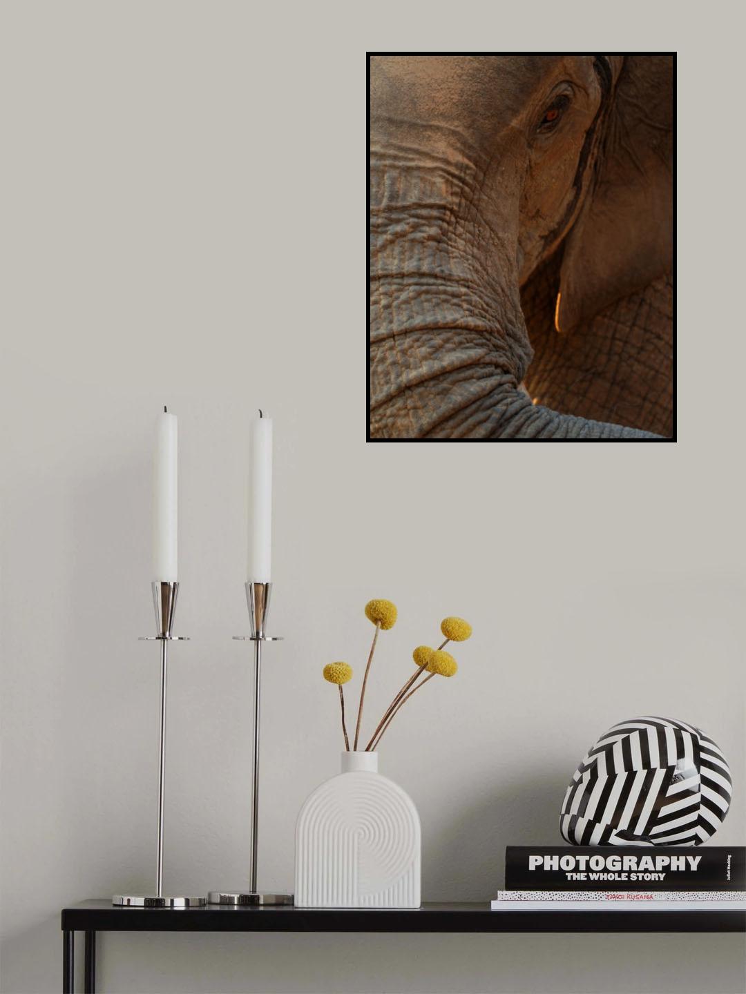 the eye Poster och Canvastavla