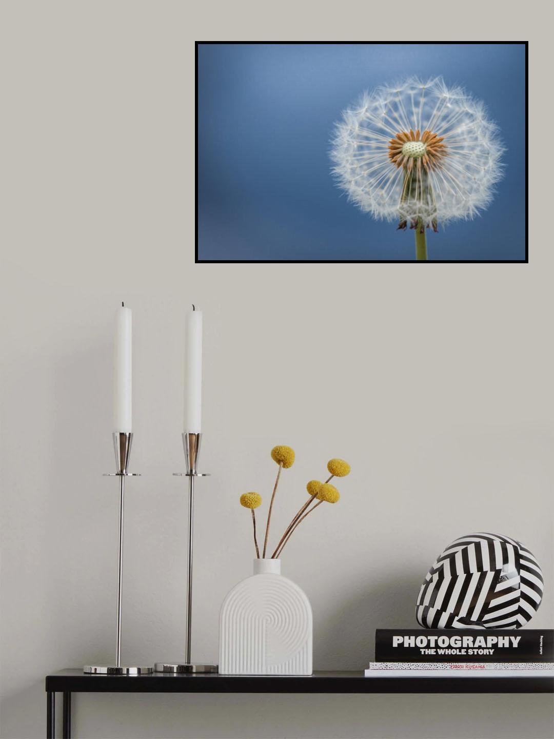 Dandelion Poster och Canvastavla