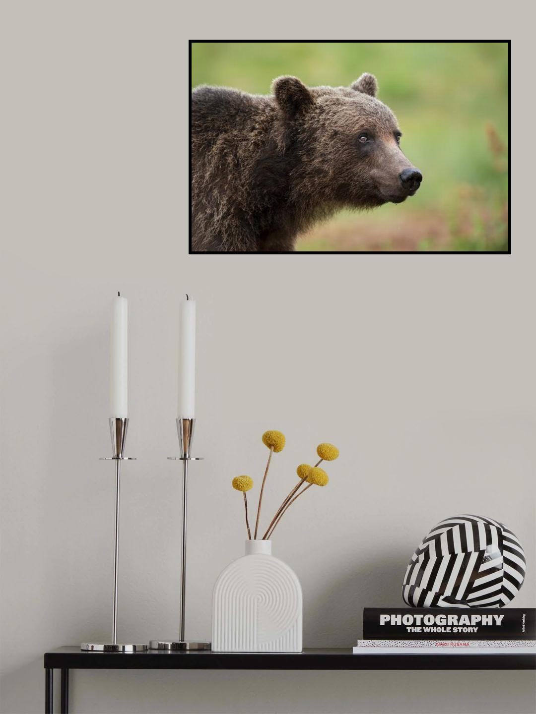 Paddington Poster och Canvastavla