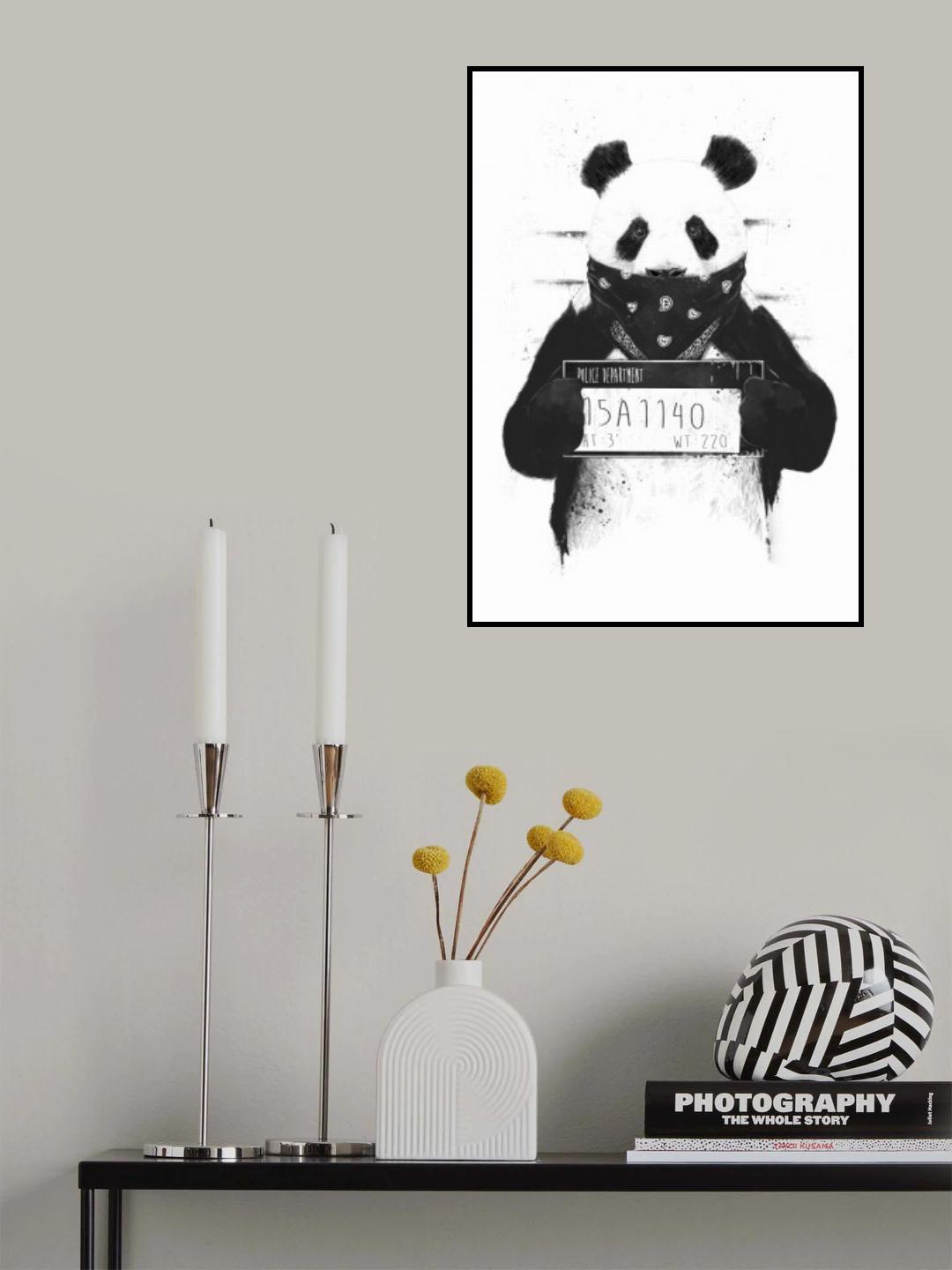 Bad panda Poster och Canvastavla