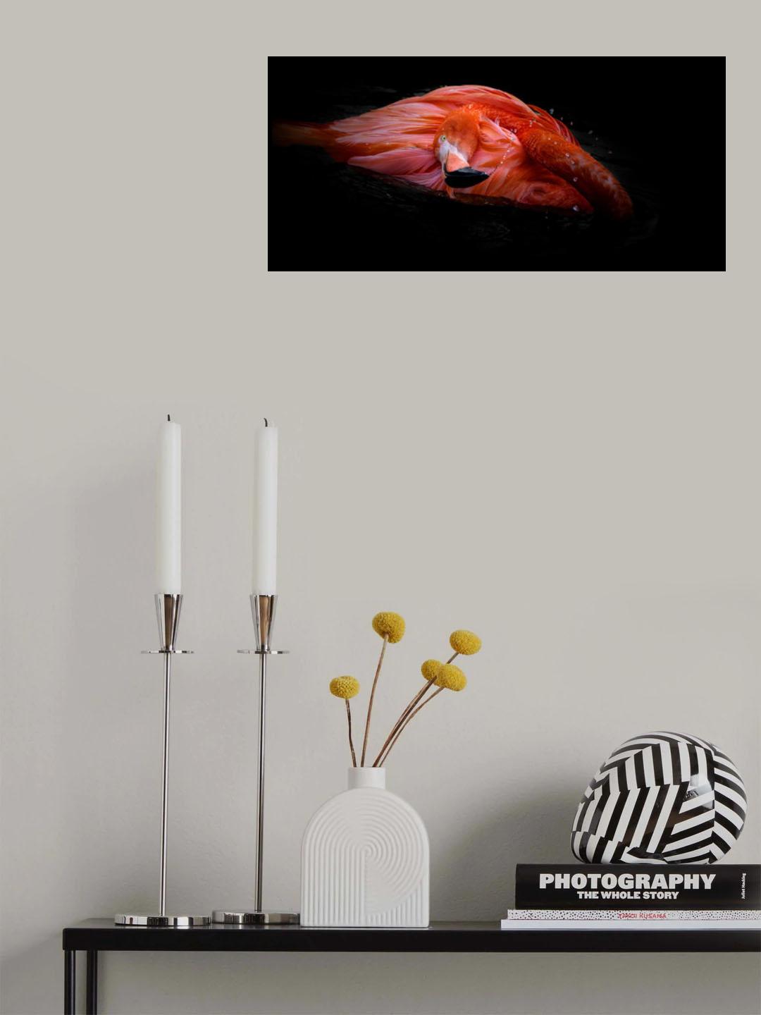 Scarlet Flamingo Poster och Canvastavla