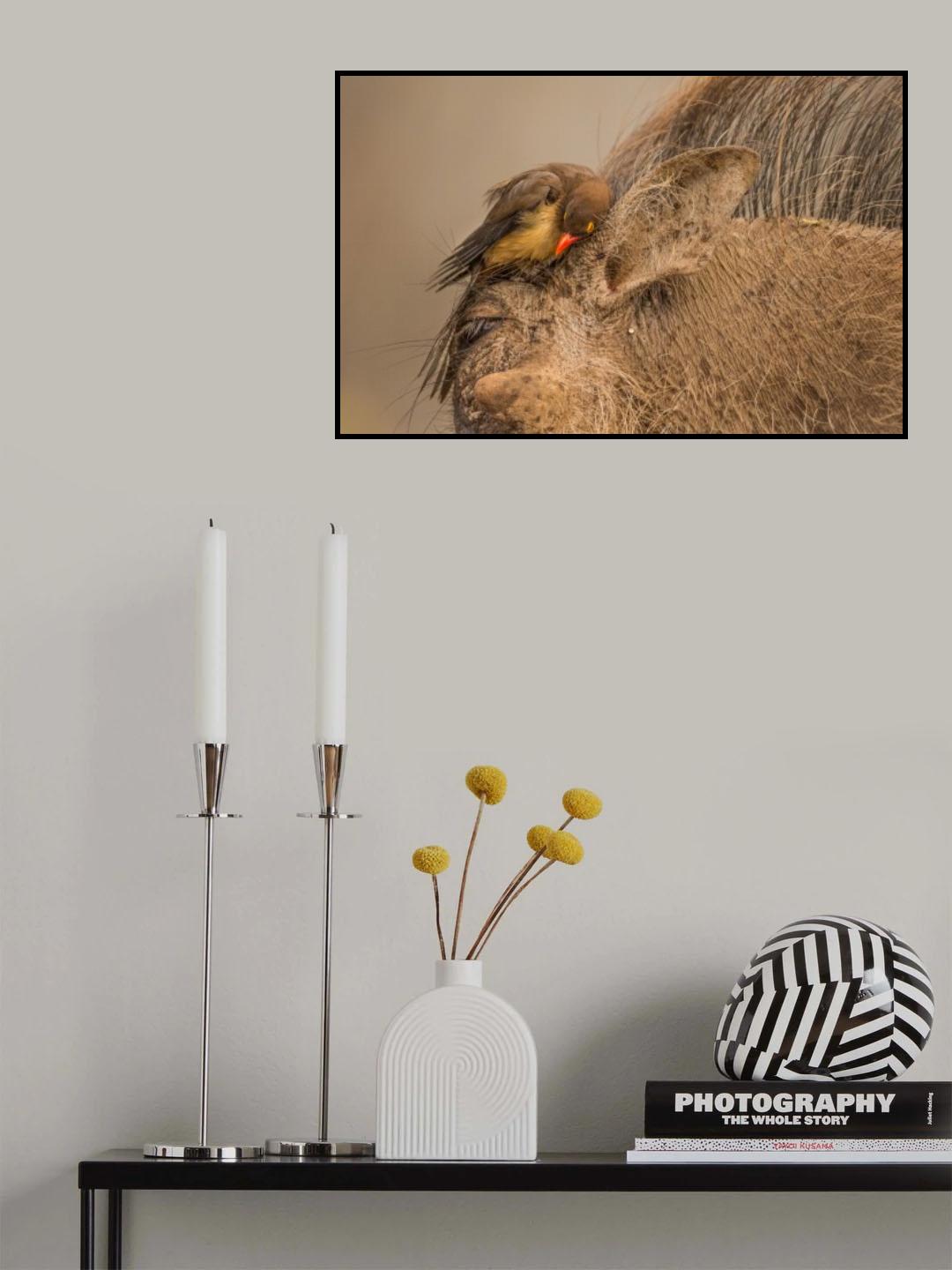 Hideaway Poster och Canvastavla