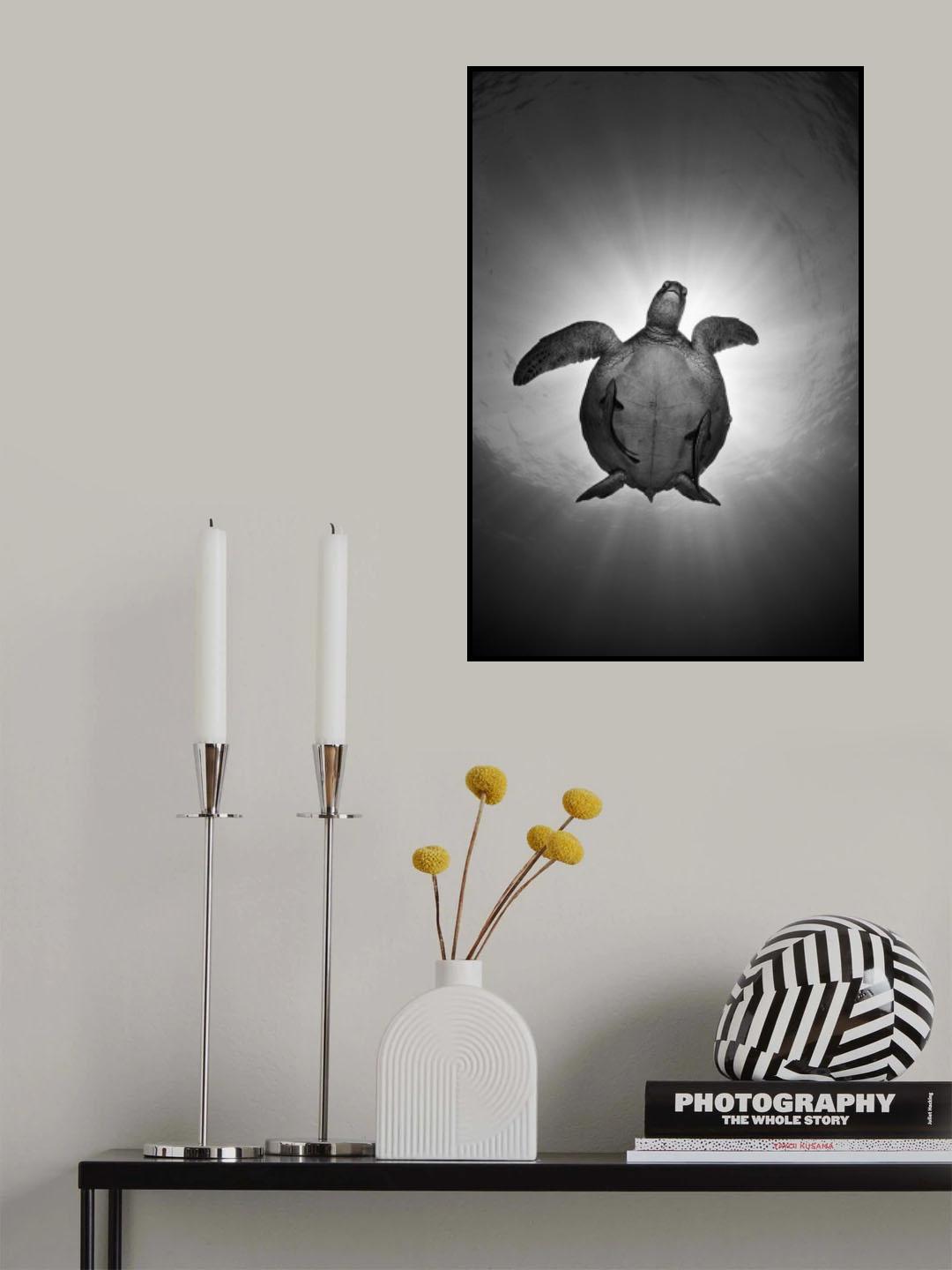 Sun Poster och Canvastavla