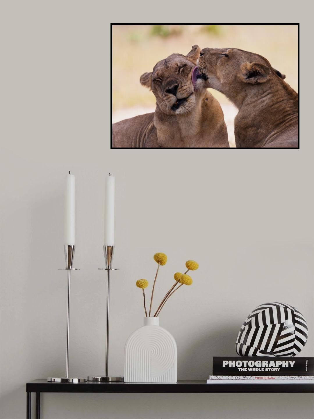 Sisters Poster och Canvastavla