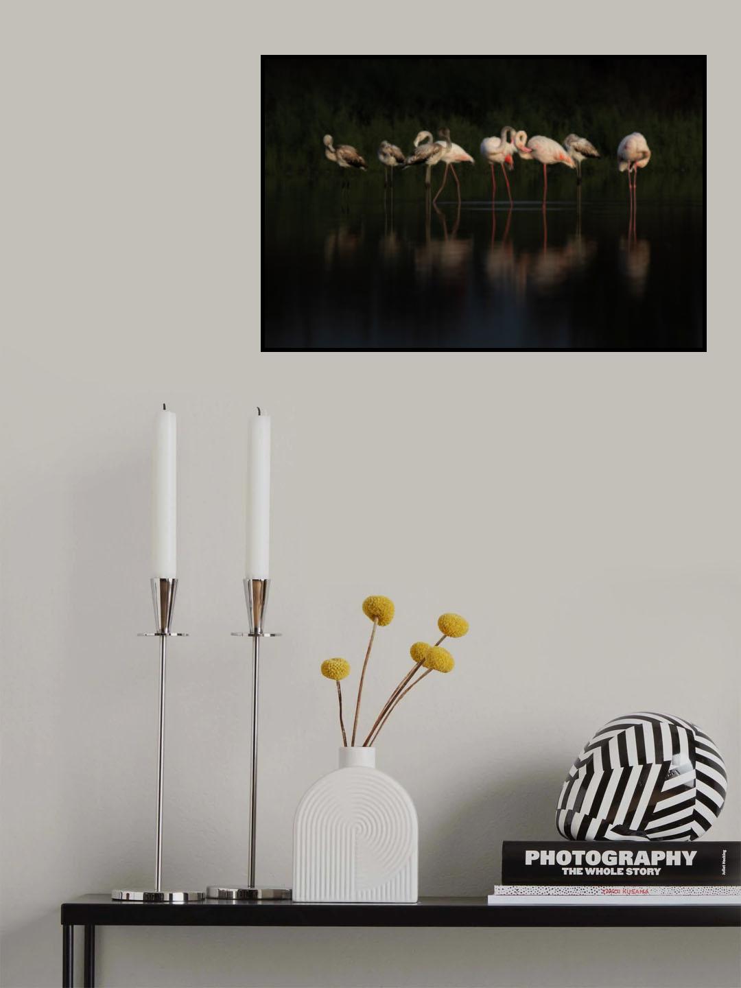 Flamingos Poster och Canvastavla