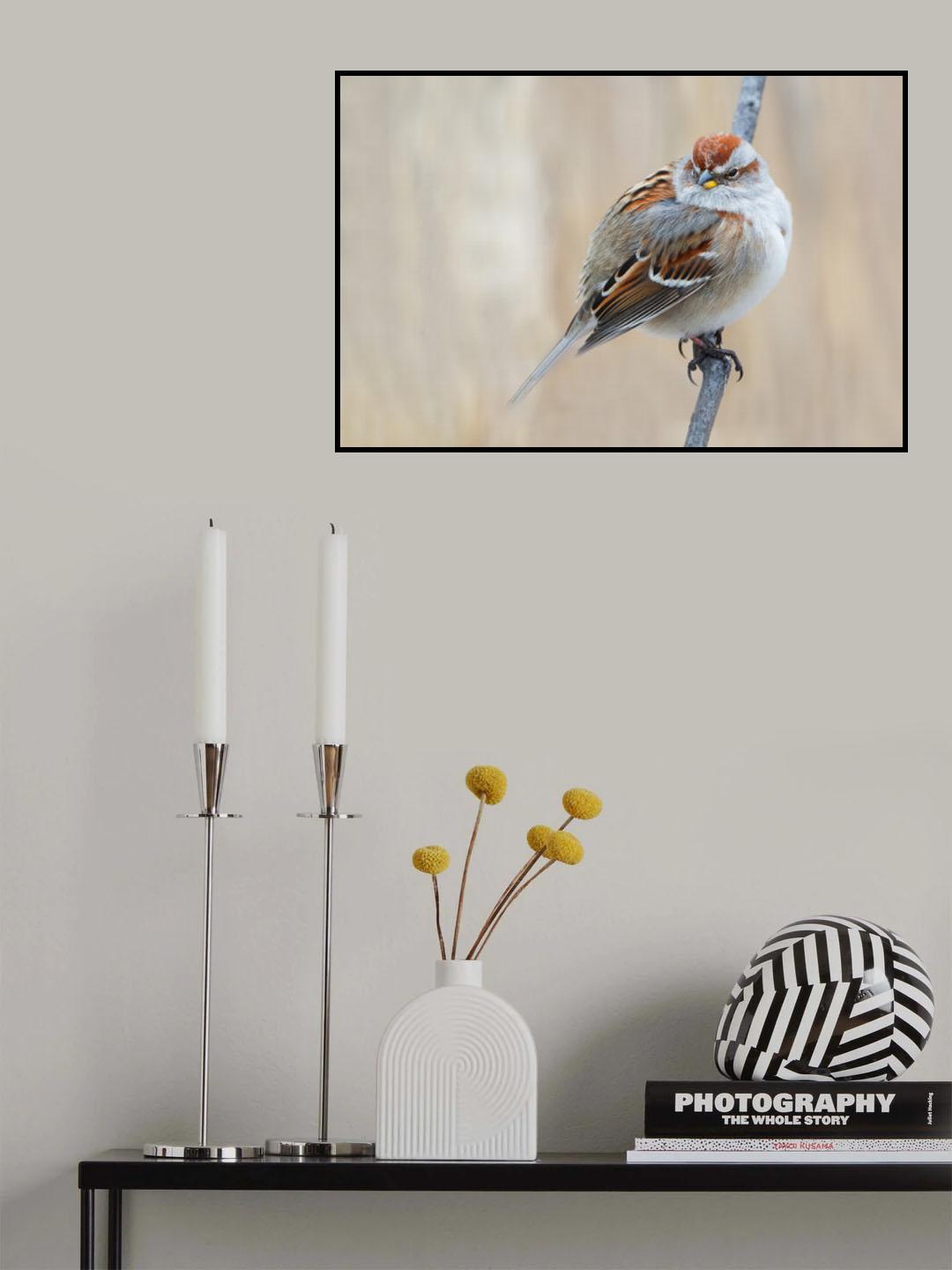 Too Fat To Fly? Poster och Canvastavla