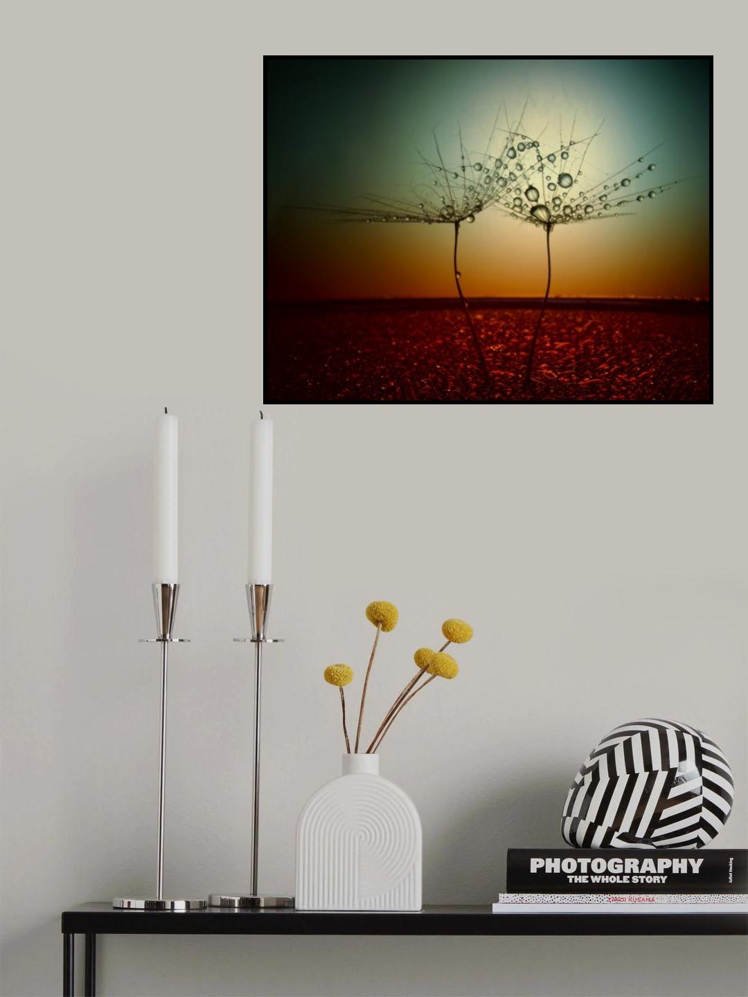 Fire and water Poster och Canvastavla