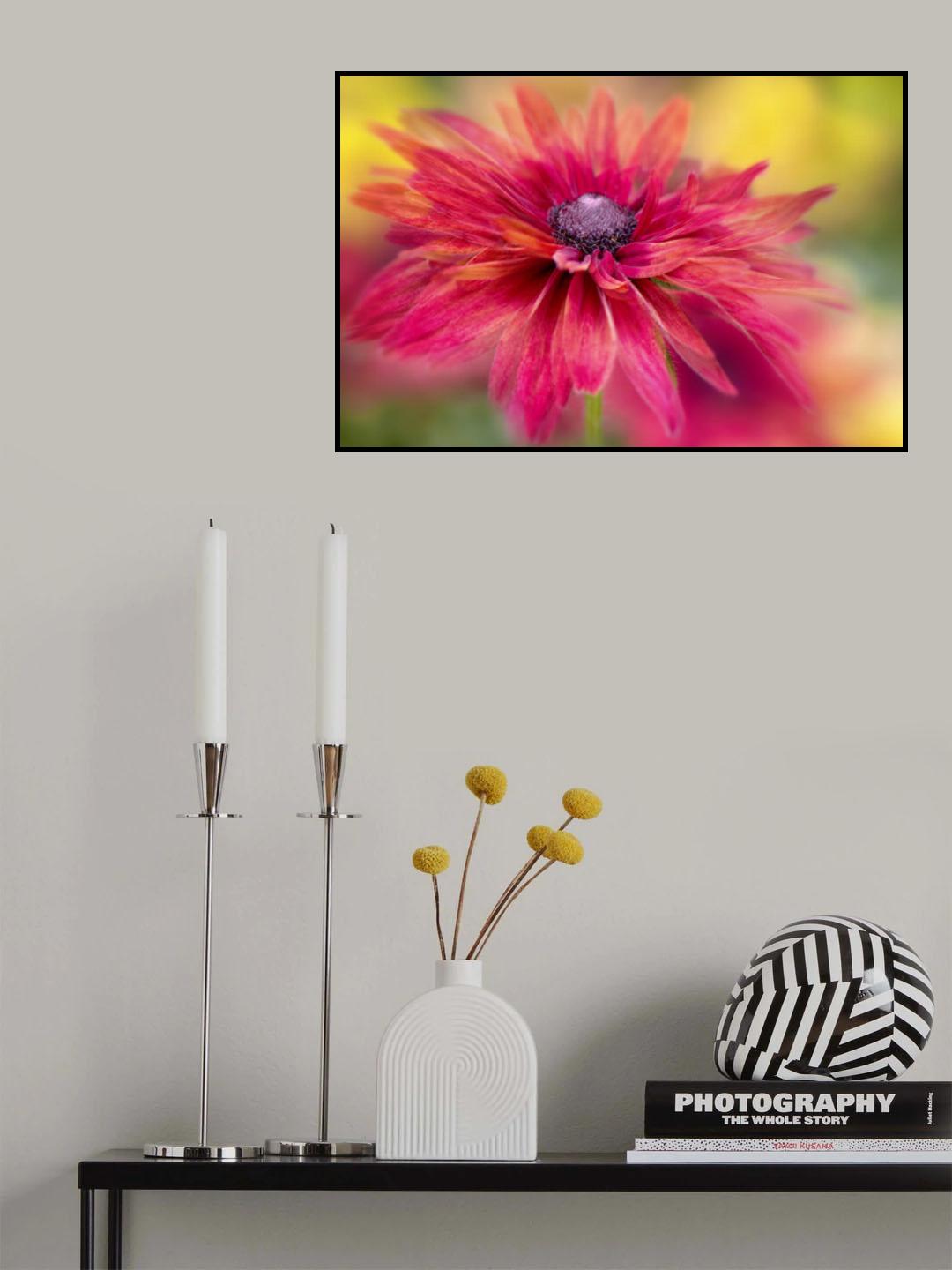 RUDBECKIA Poster och Canvastavla