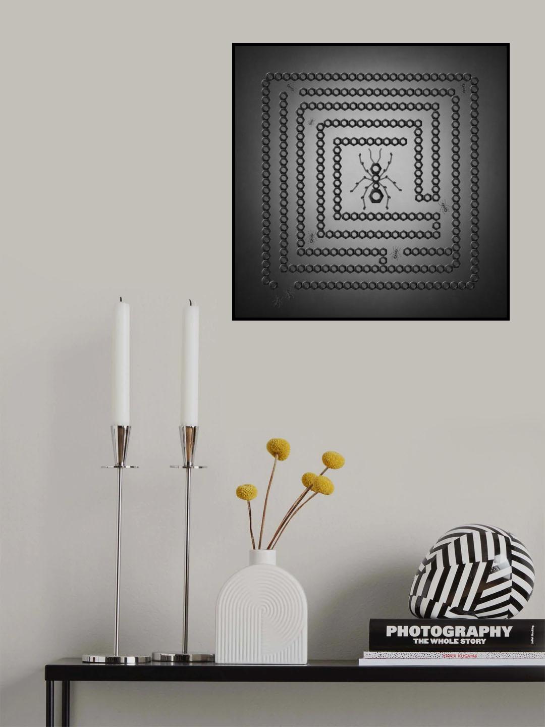 The anthill and the ant queen Poster och Canvastavla