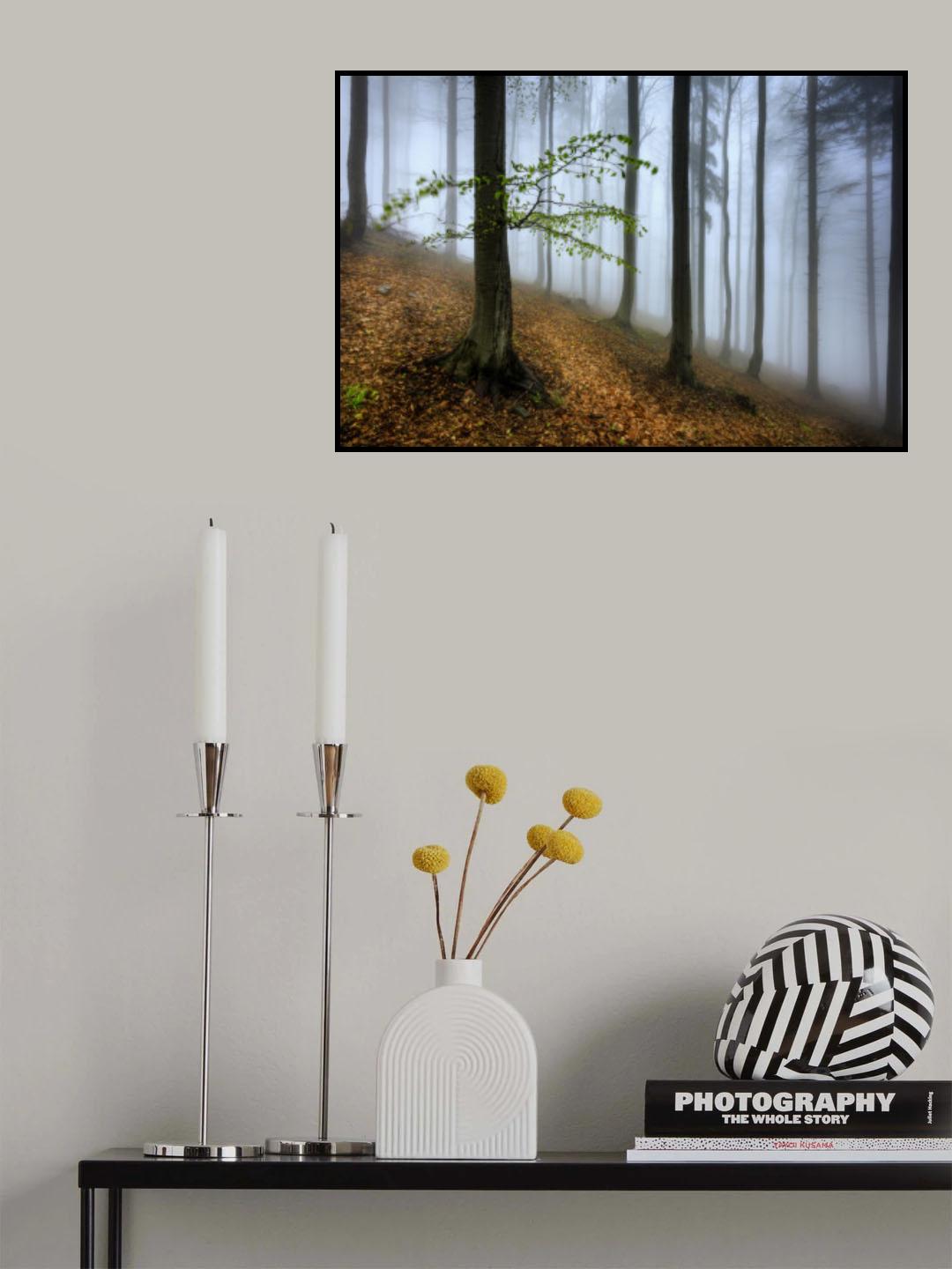 Spring visit Poster och Canvastavla