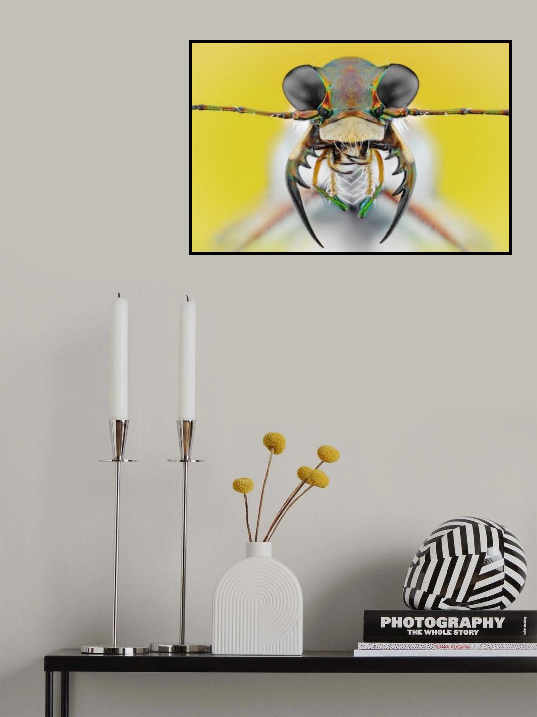Cicindela ancocisconensis Poster och Canvastavla