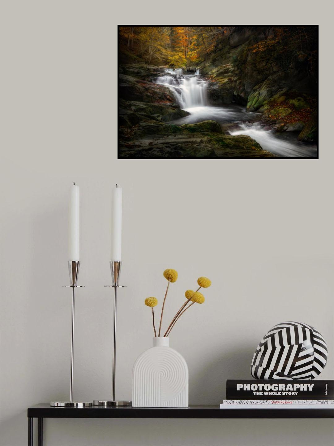 Irati jungle Poster och Canvastavla