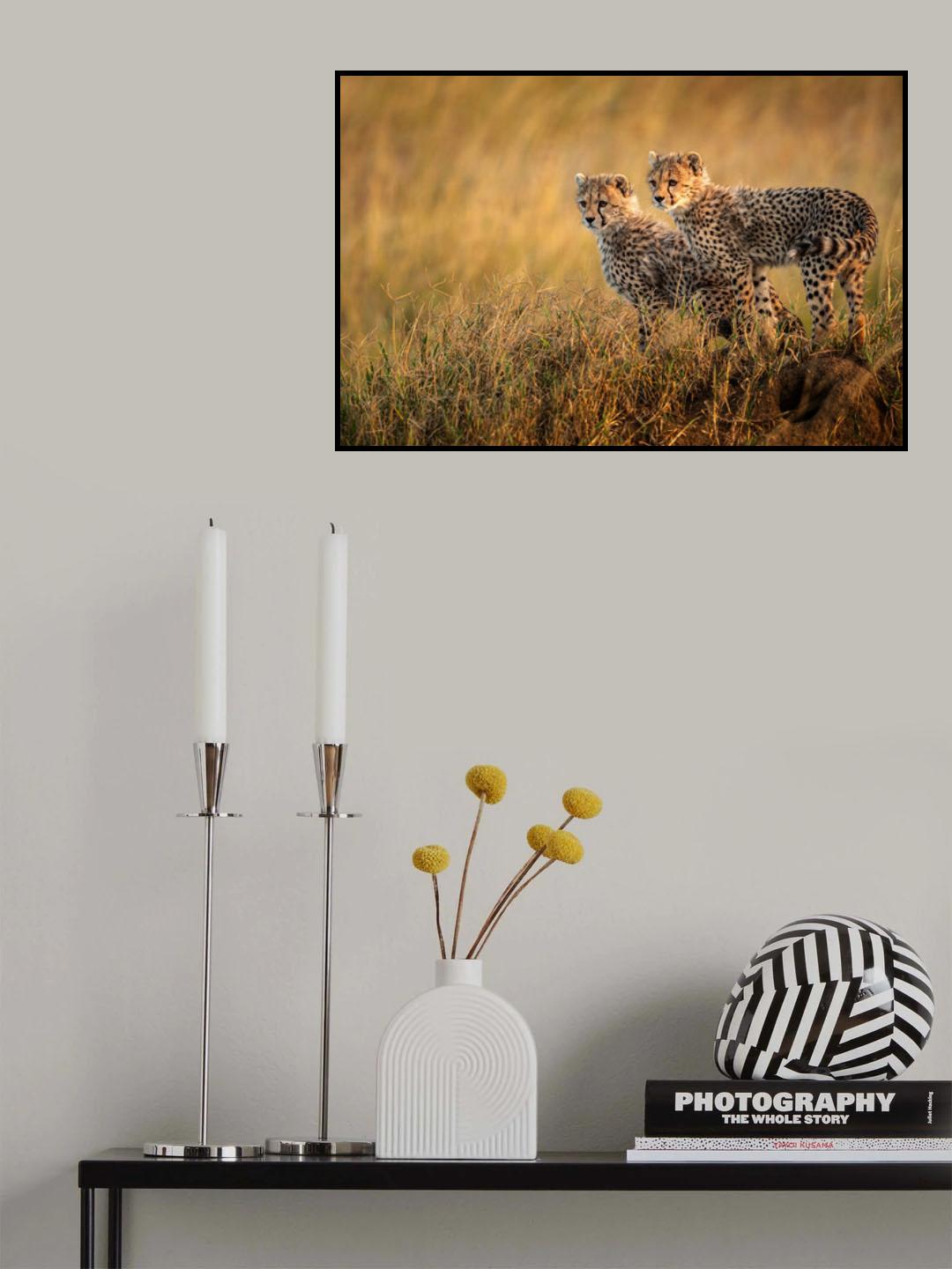 Where is the prey ? Poster och Canvastavla