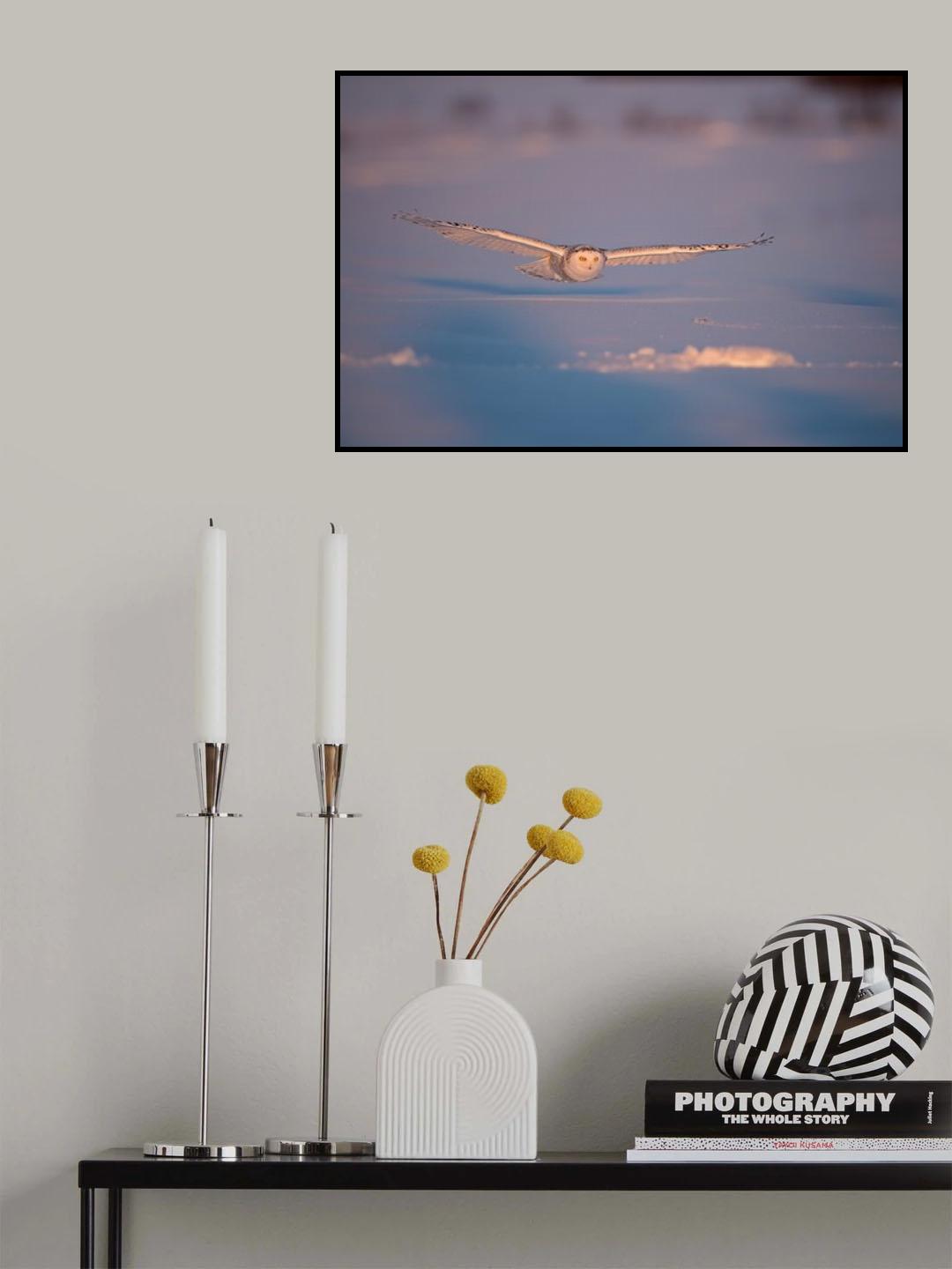Flyby at dusk Poster och Canvastavla