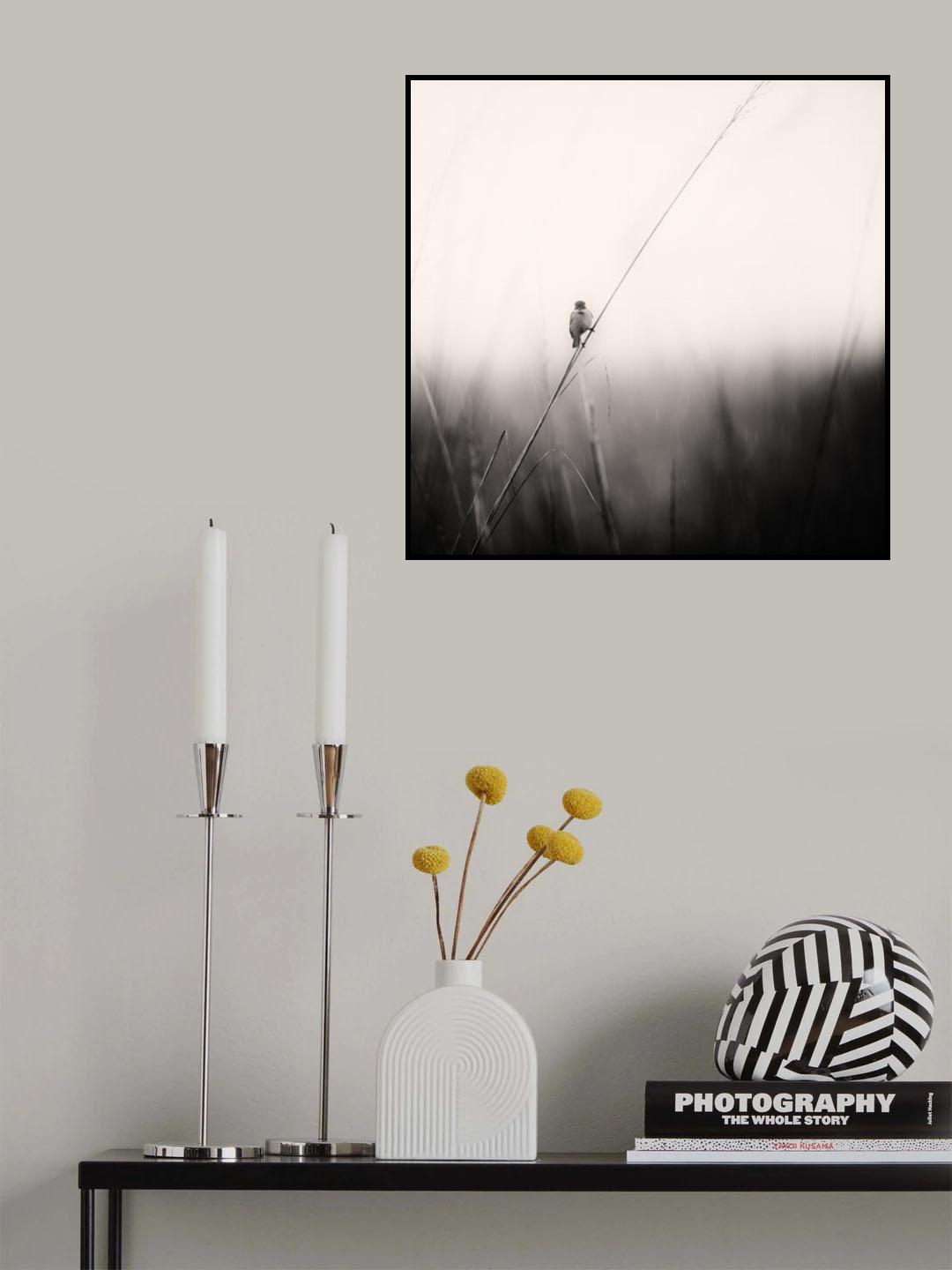 monsoon melodies Poster och Canvastavla