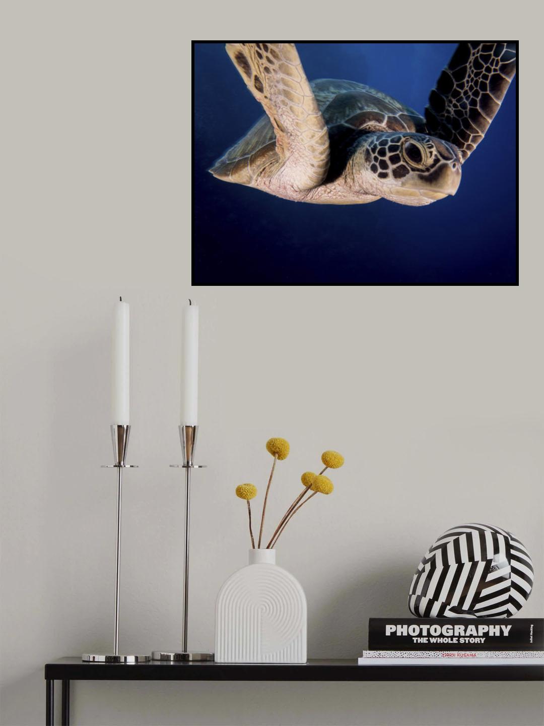 Encounter of the Turtle kind Poster och Canvastavla