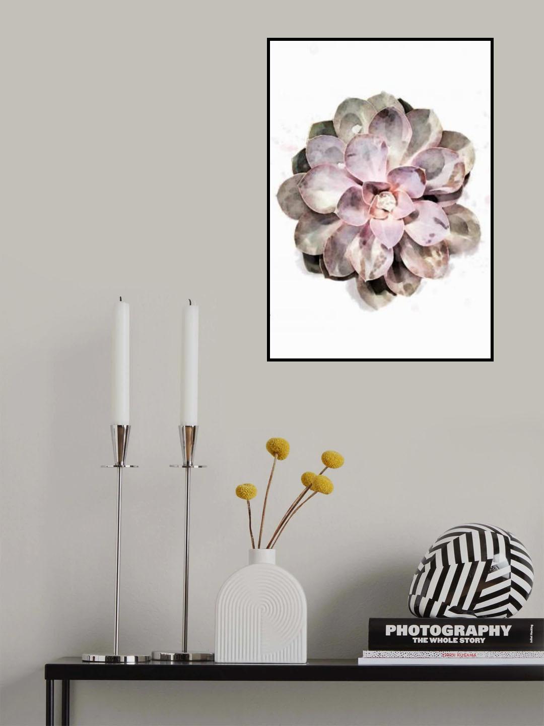 Succulent 01 Poster och Canvastavla