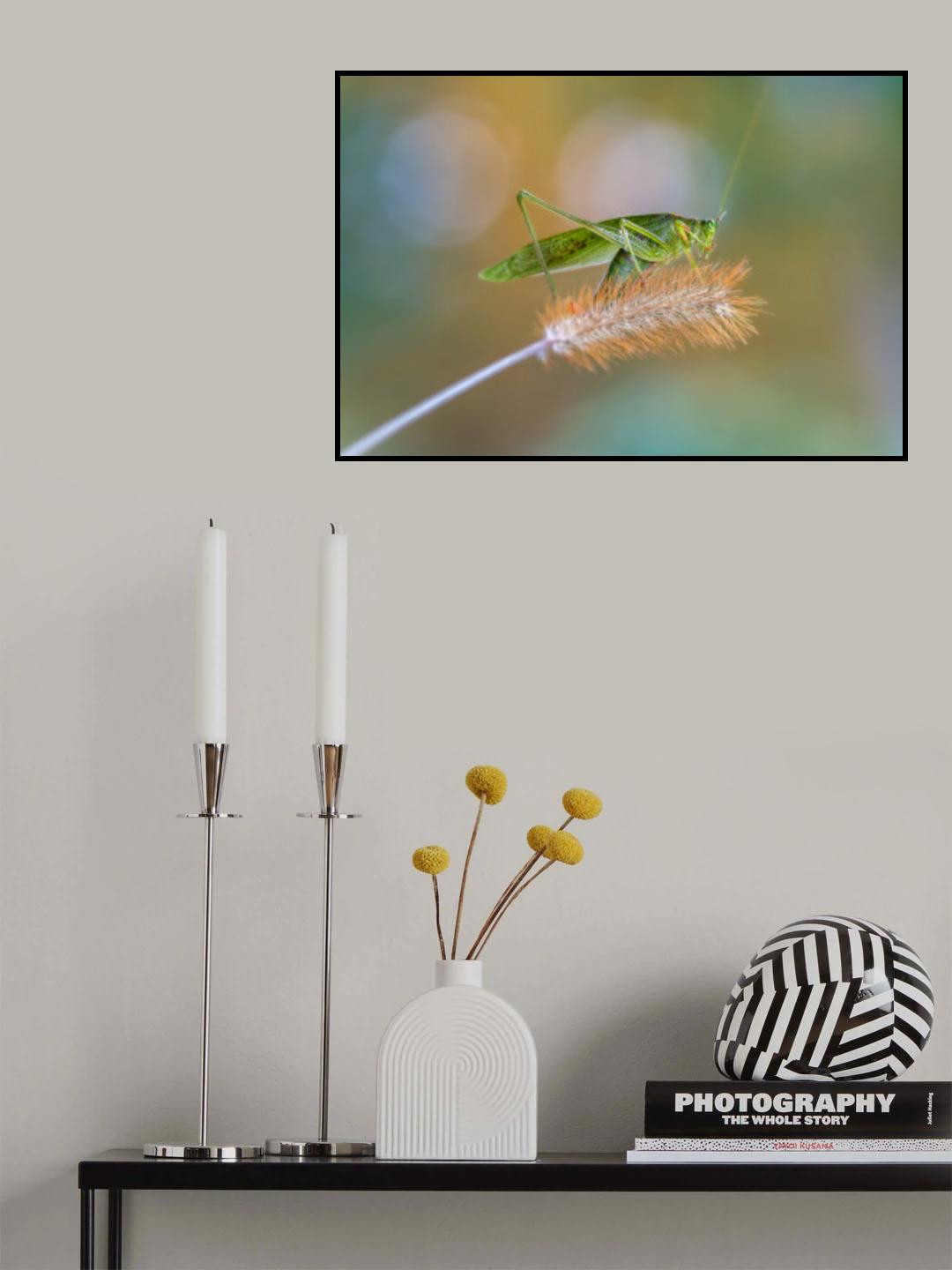Parallels Poster och Canvastavla