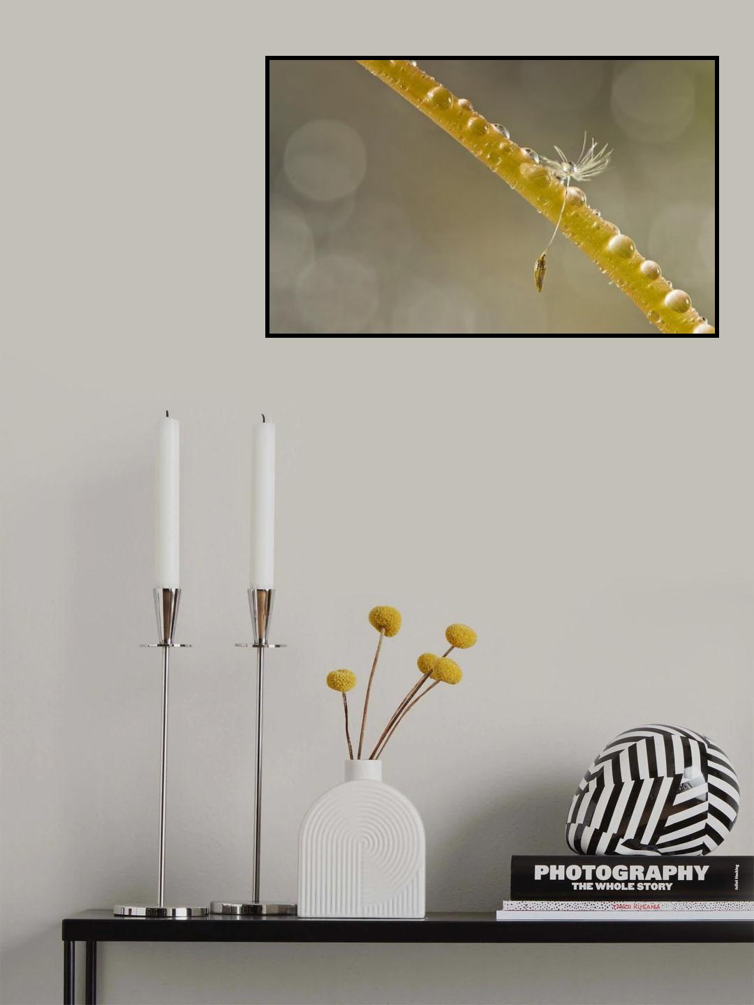 Alone Poster och Canvastavla