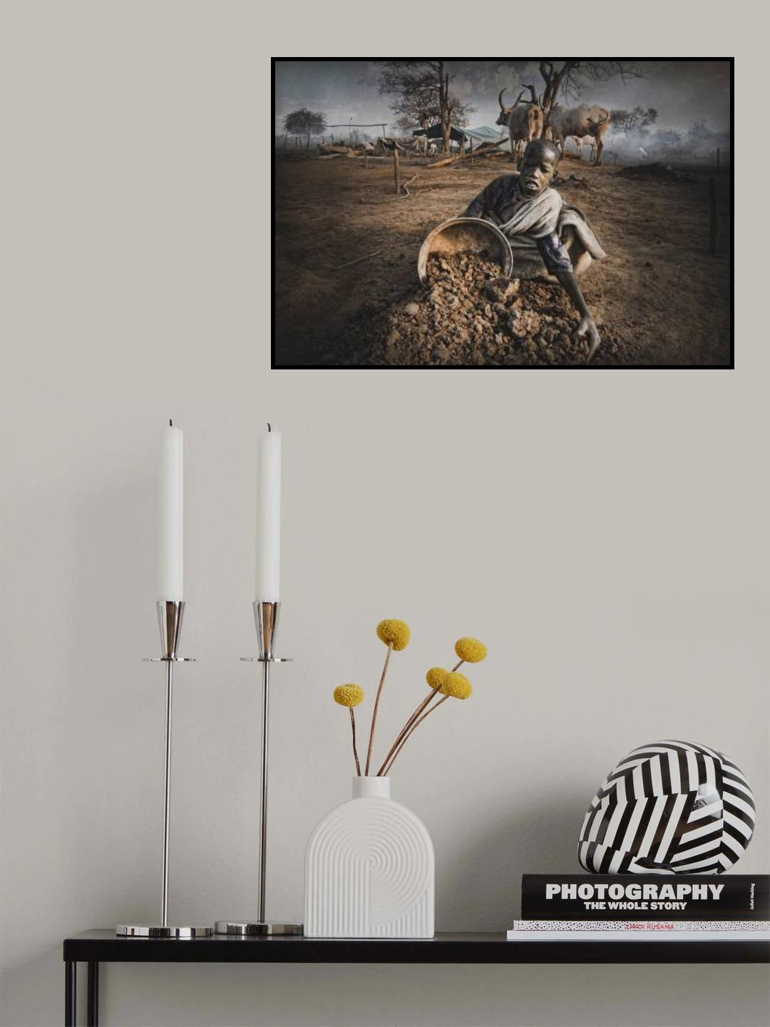 Boy from Mundari collects cow dung Poster och Canvastavla