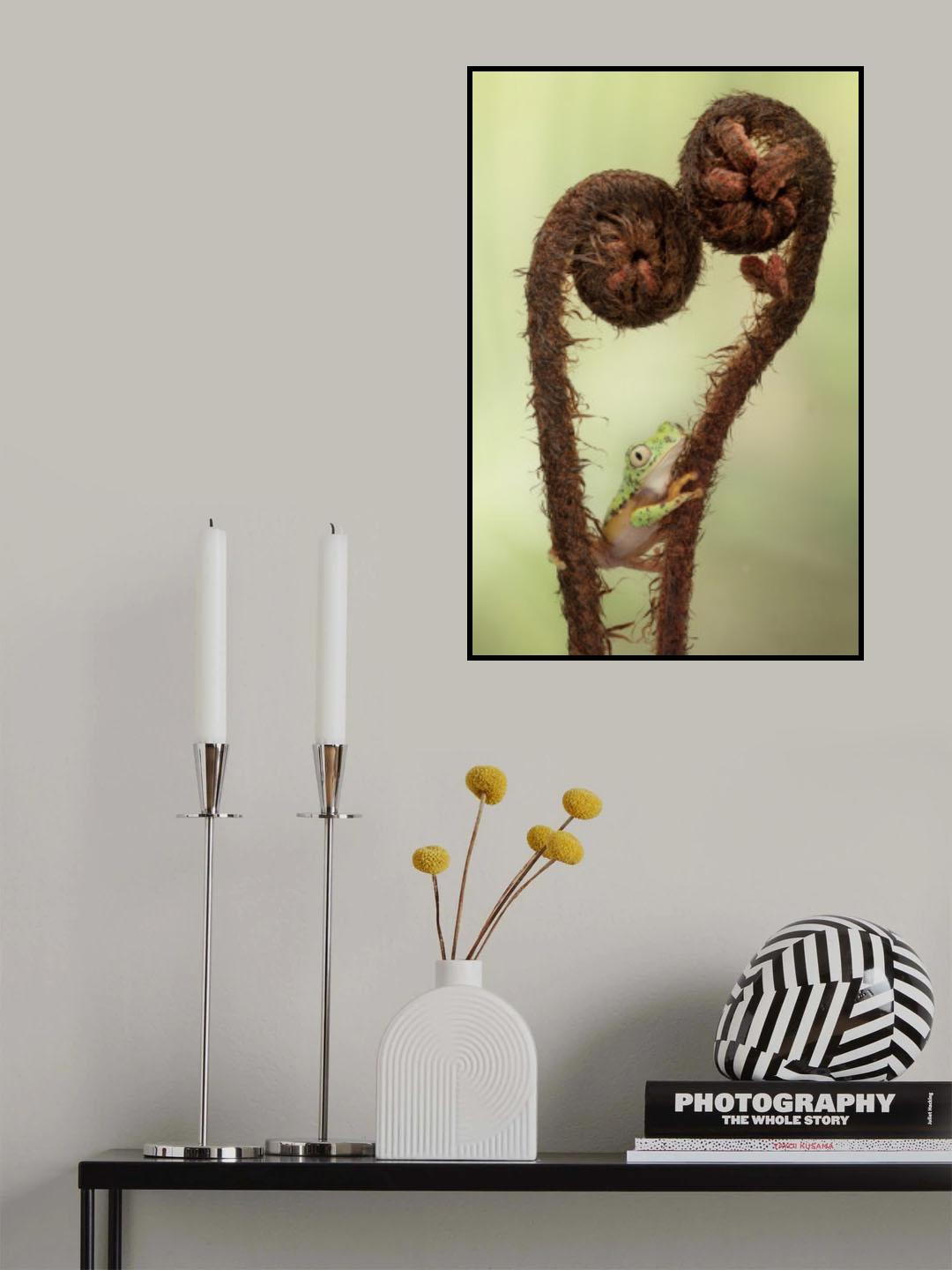 Spring is in the Air with Lemur Tree Frog Poster och Canvastavla