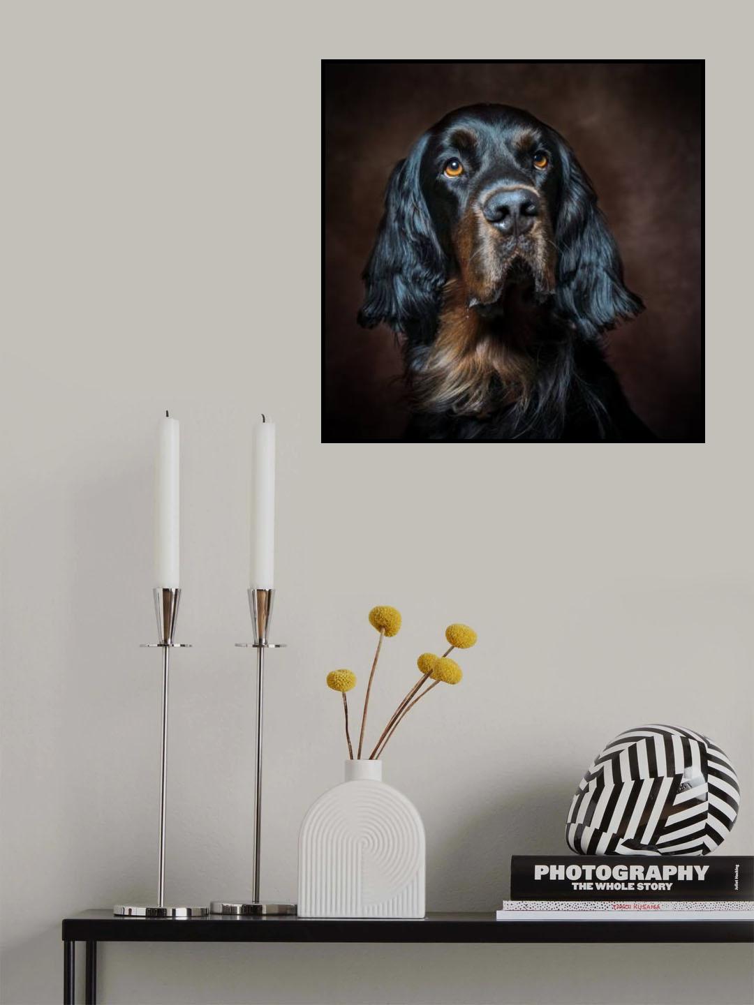 Borollo Poster och Canvastavla