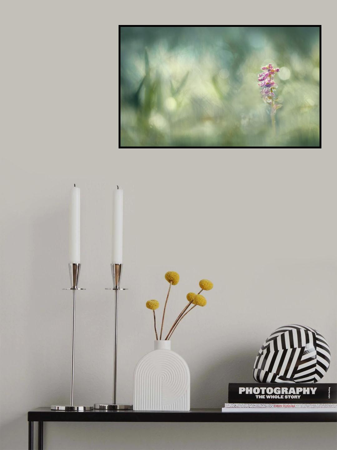 Morninglight Poster och Canvastavla