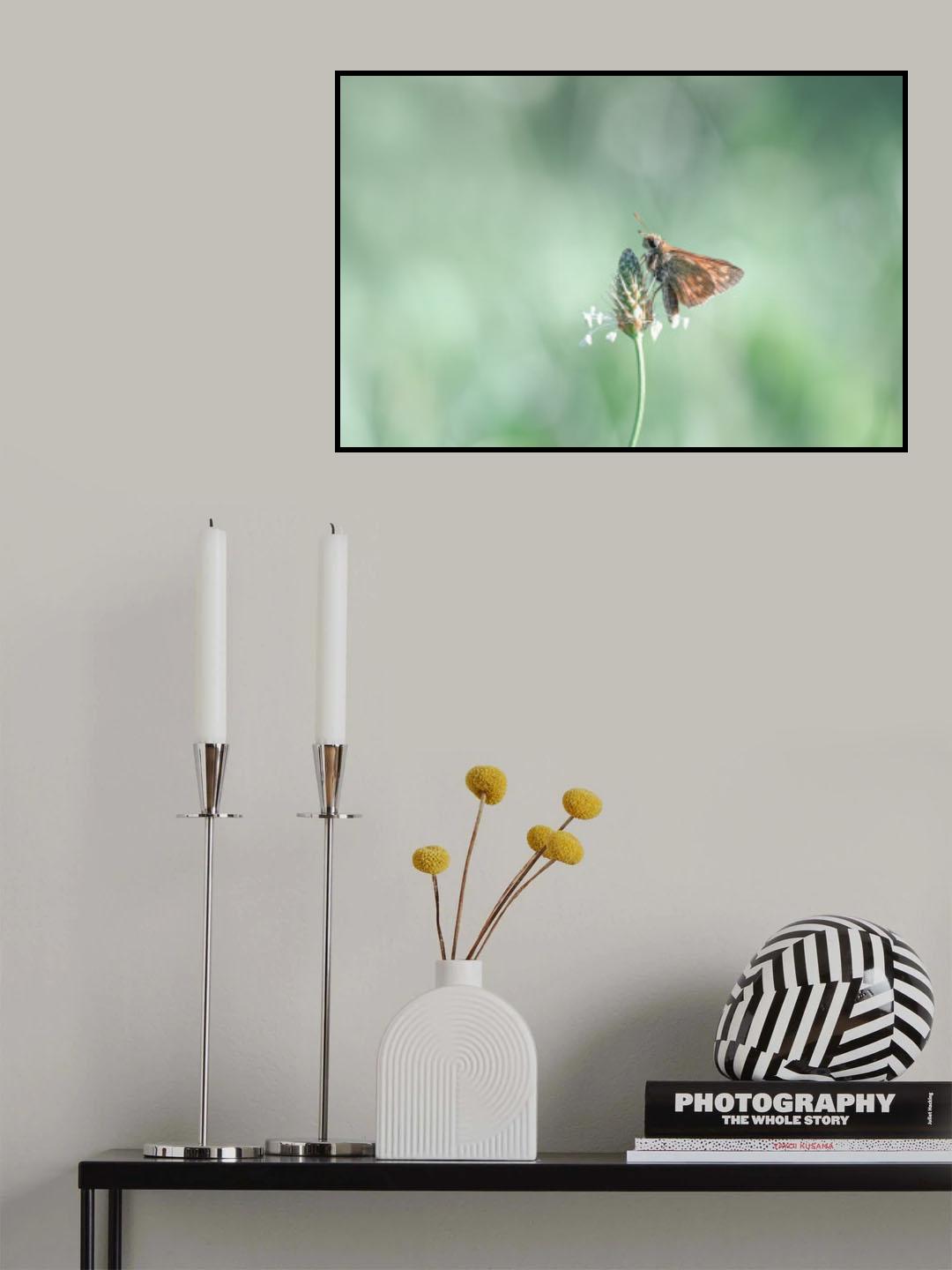 Poster och Canvastavla