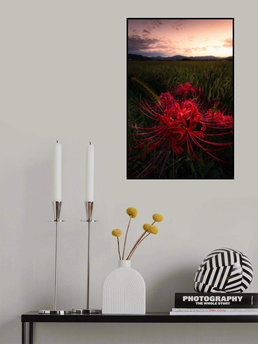 Red Spider Lily Poster och Canvastavla