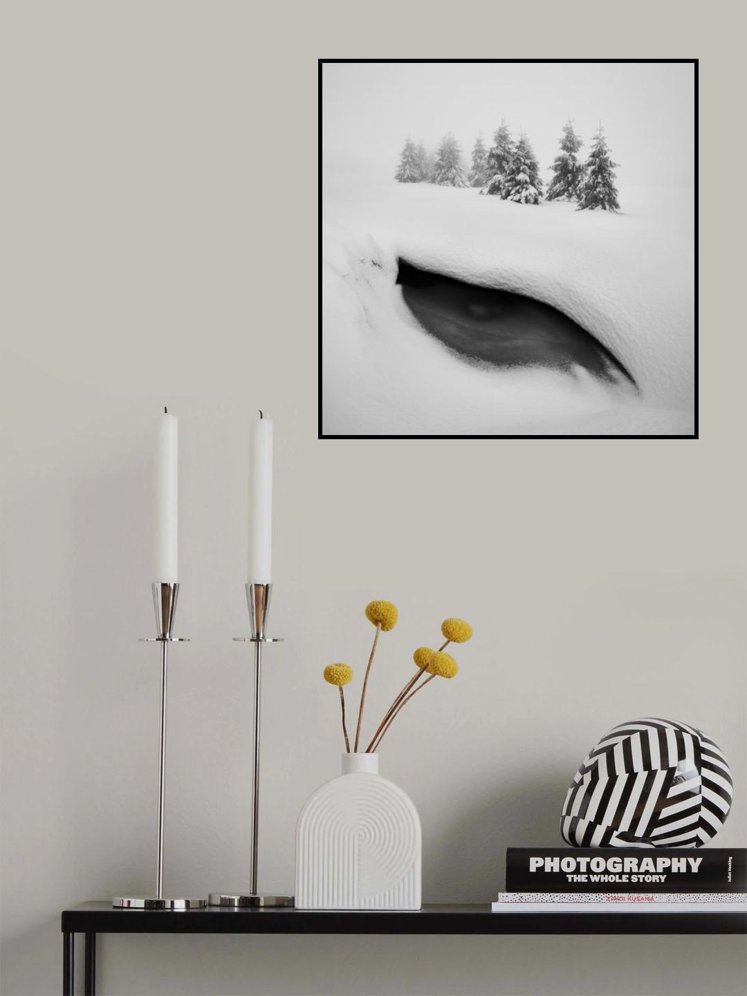 Dragon eye Poster och Canvastavla