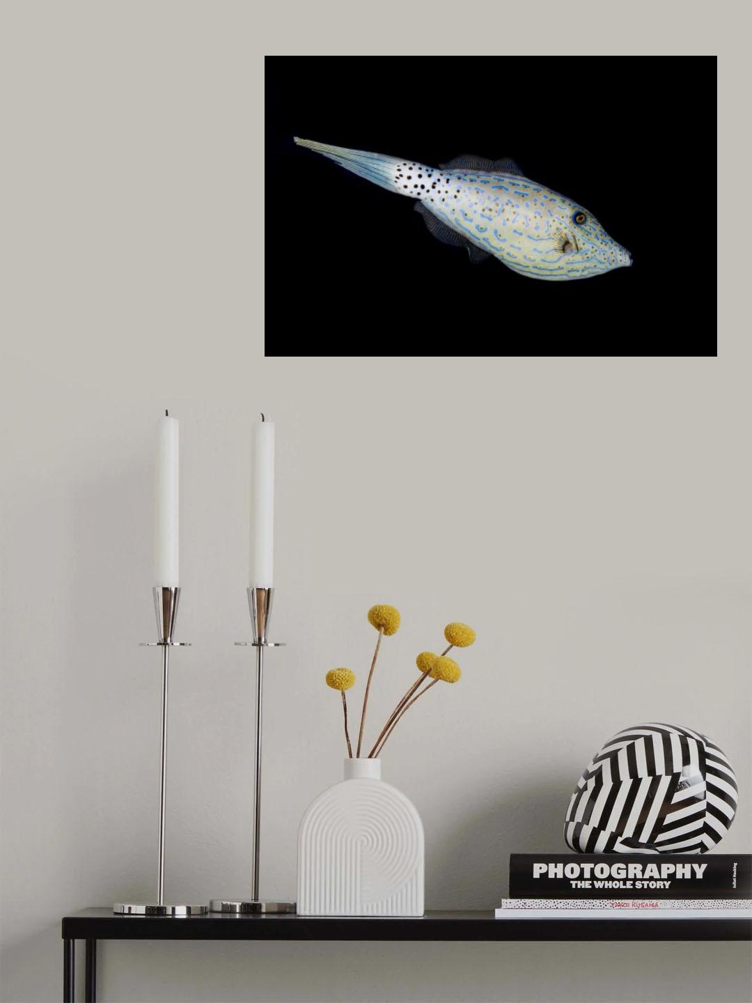 Leatherjacket Poster och Canvastavla