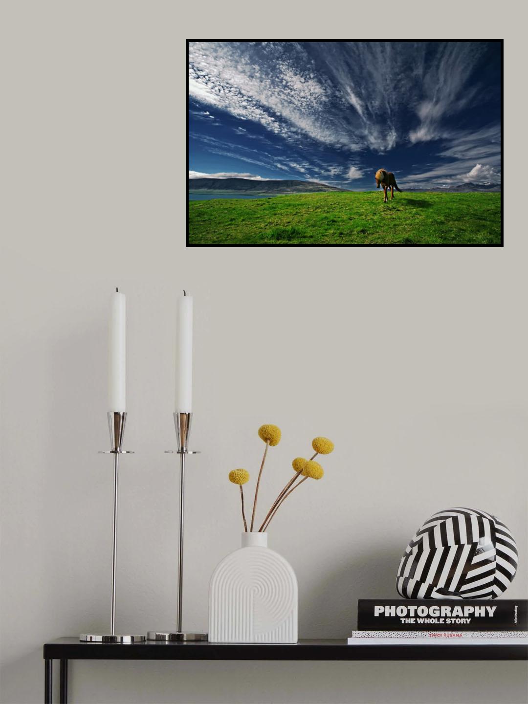 Princess Poster och Canvastavla