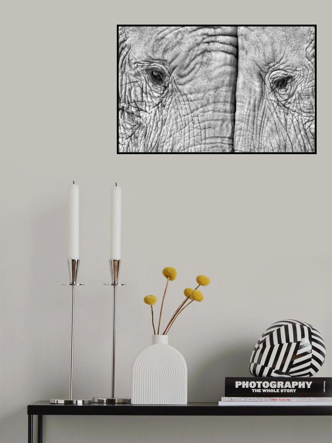 Two elephants Poster och Canvastavla